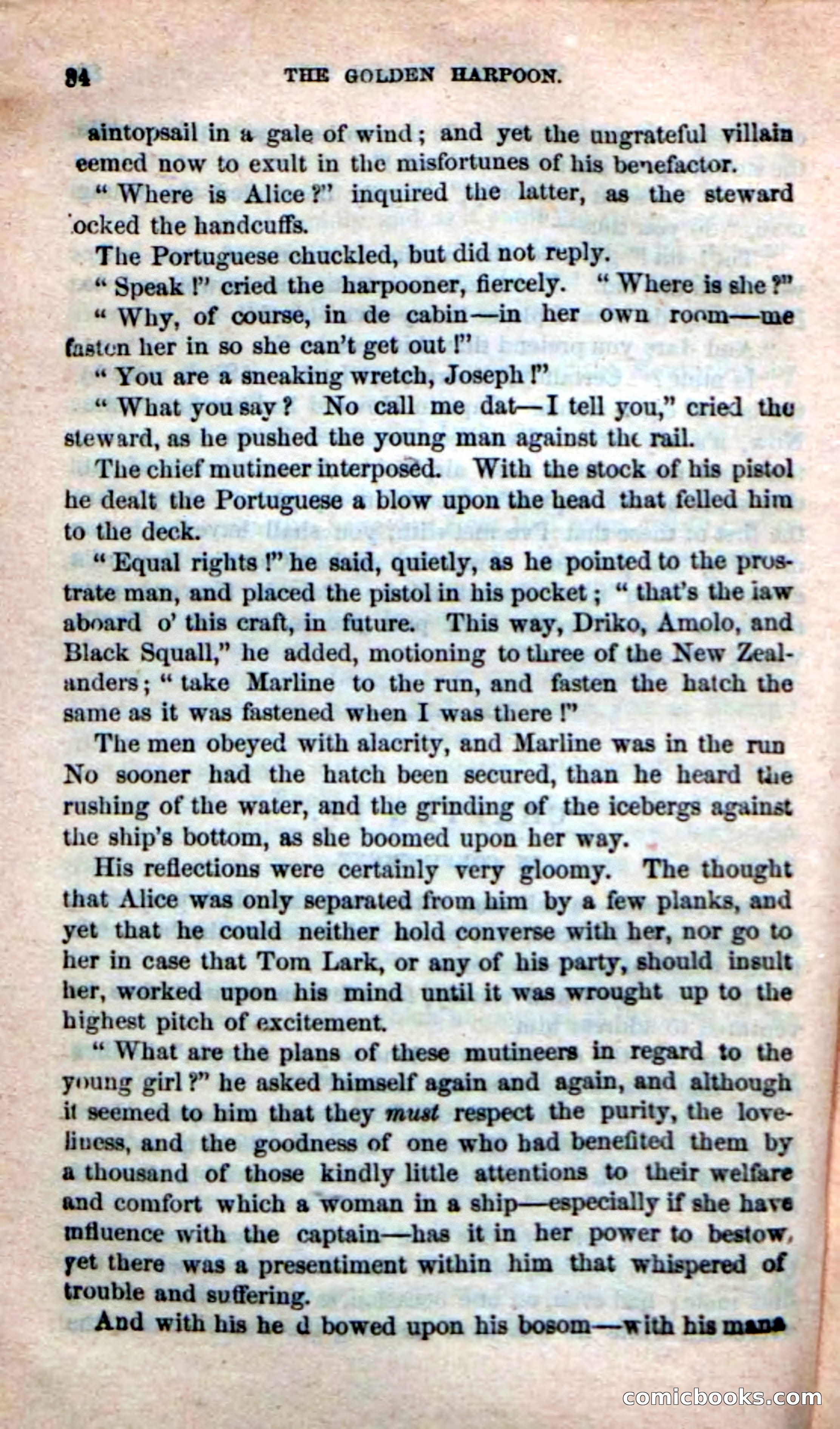 The Golden Harpoon — page 30 of 100