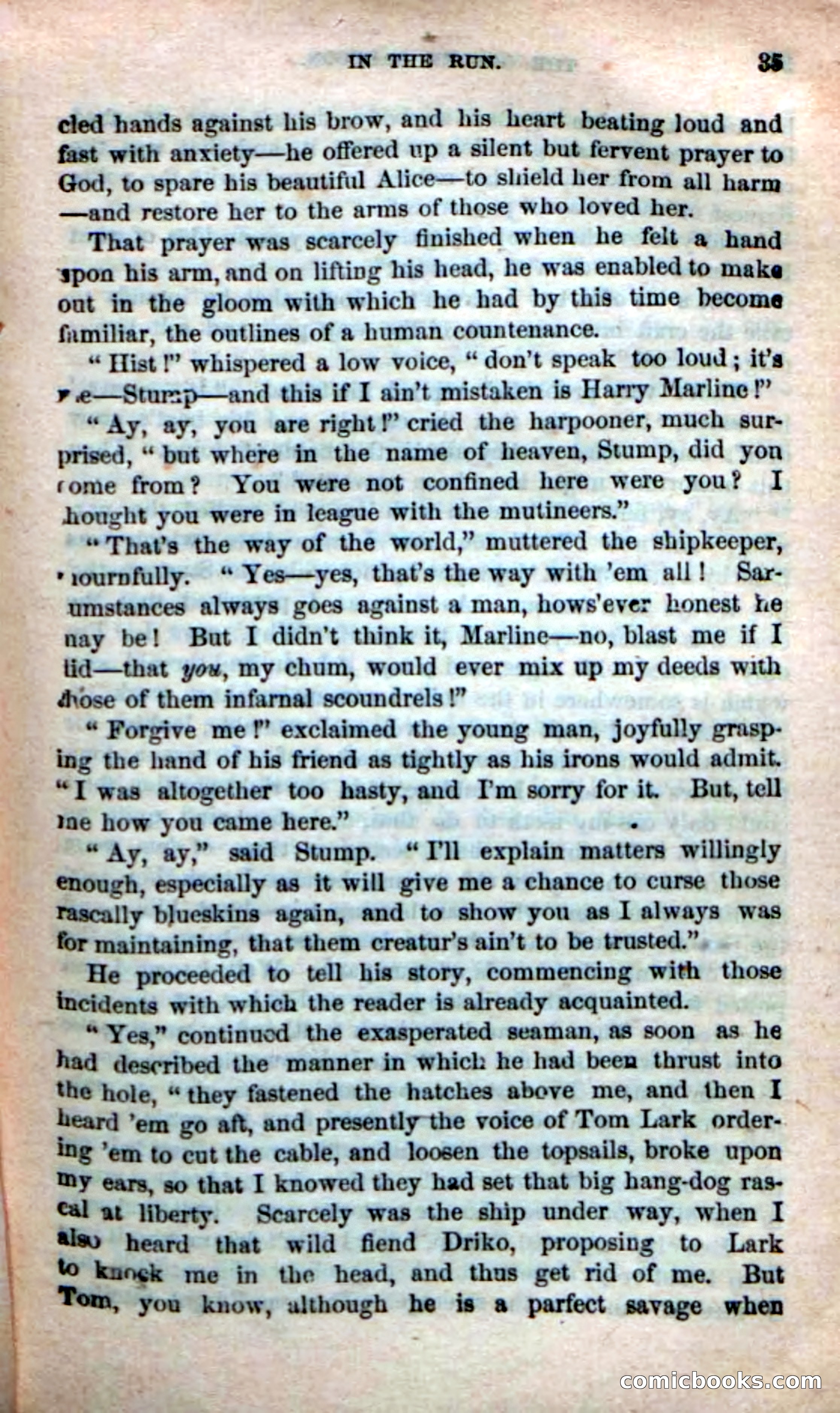 The Golden Harpoon — page 31 of 100