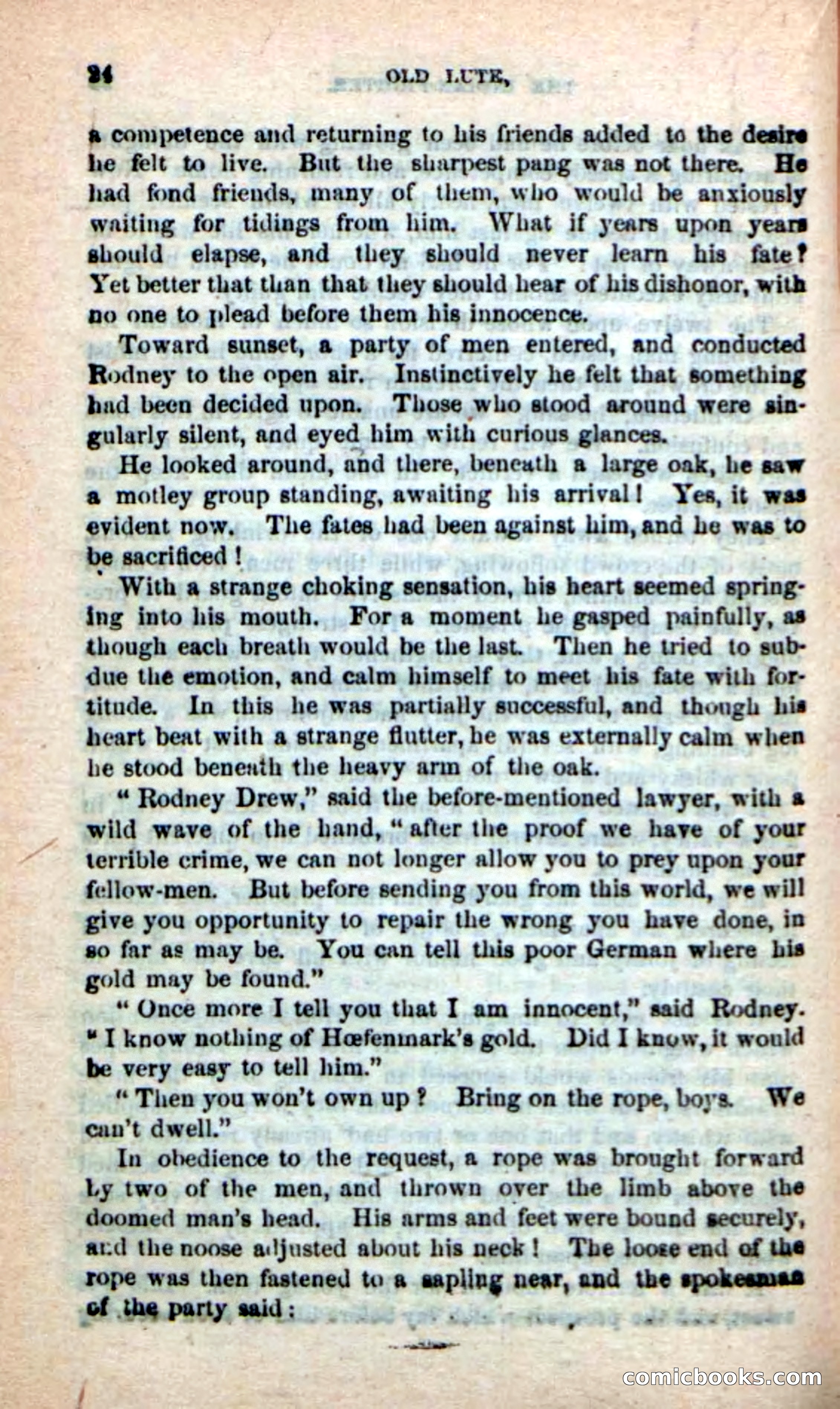 Old Lute, the Indian-Fighter — page 21 of 102