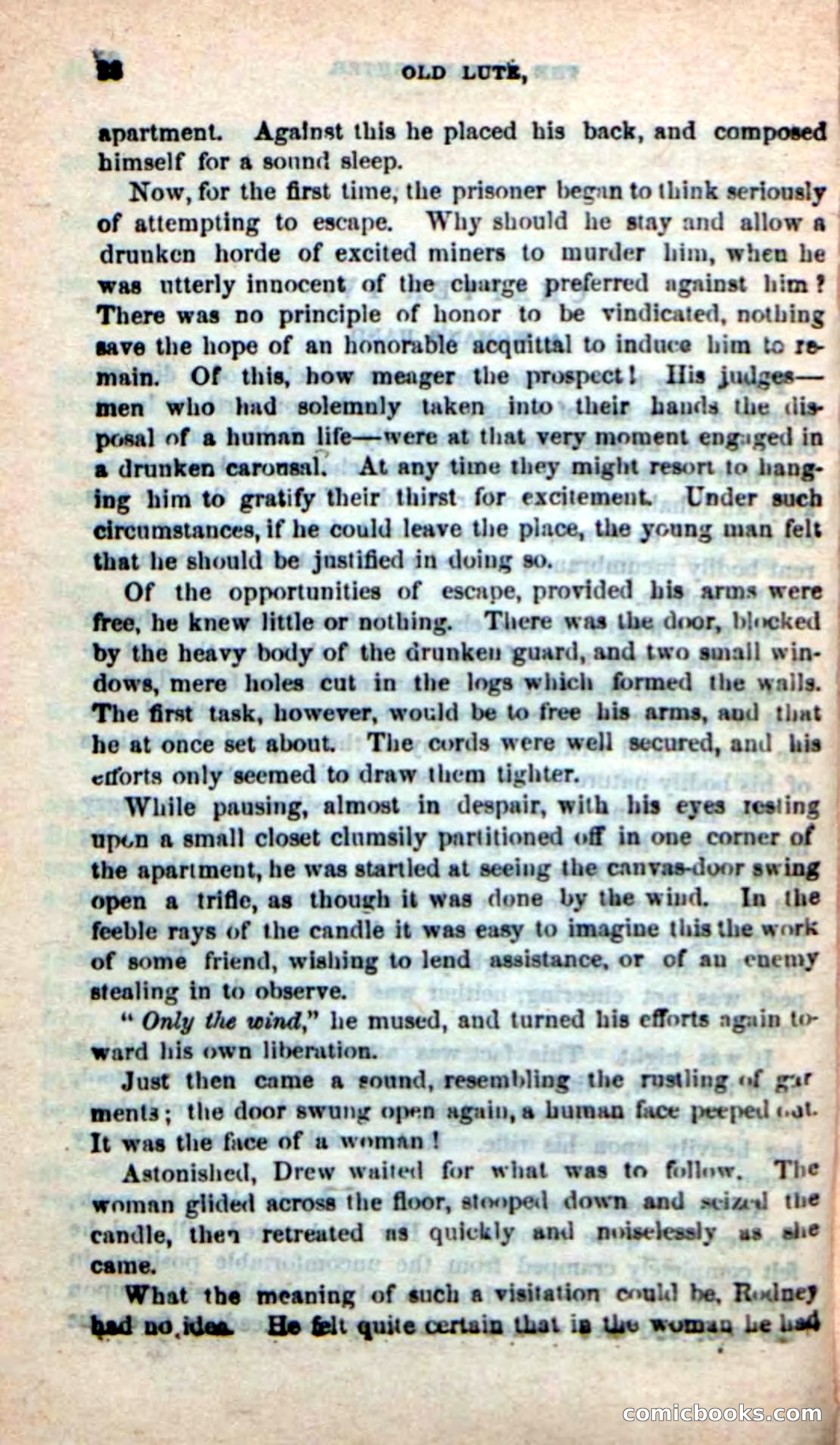 Old Lute, the Indian-Fighter — page 25 of 102