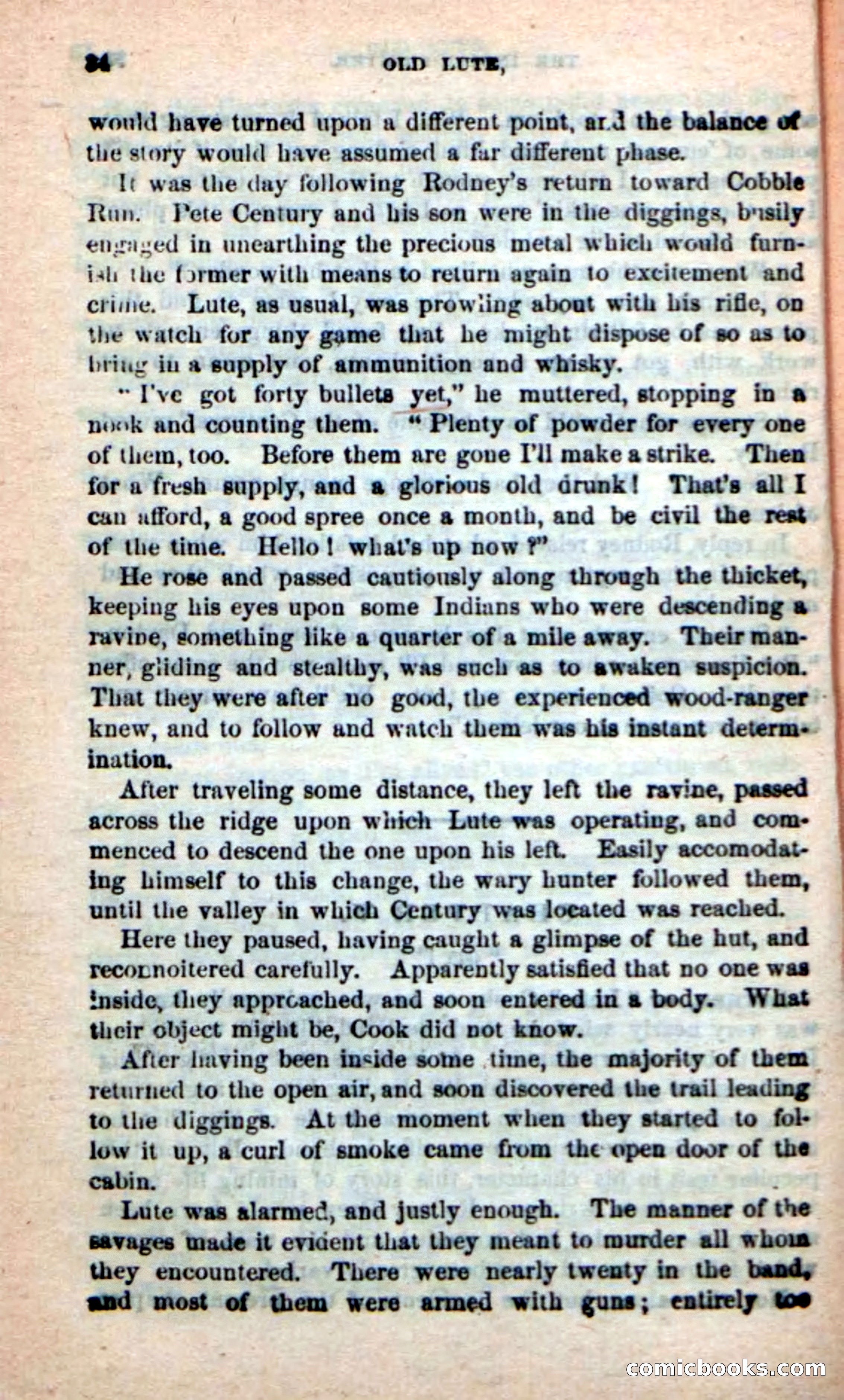 Old Lute, the Indian-Fighter — page 31 of 102