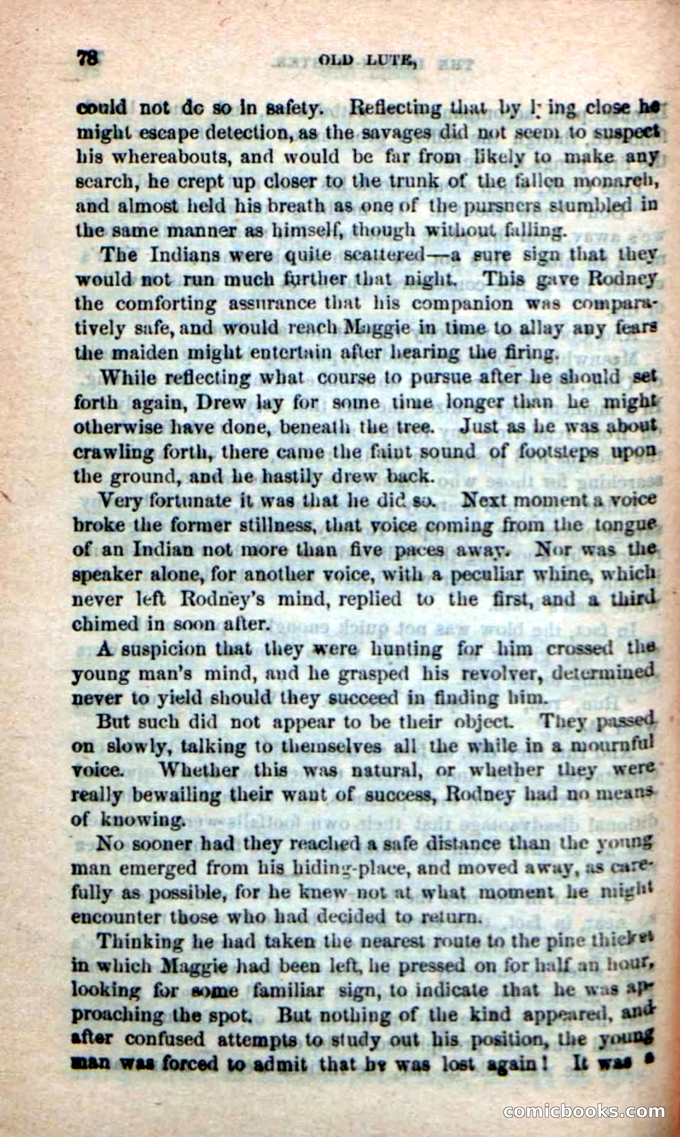 Old Lute, the Indian-Fighter — page 76 of 102