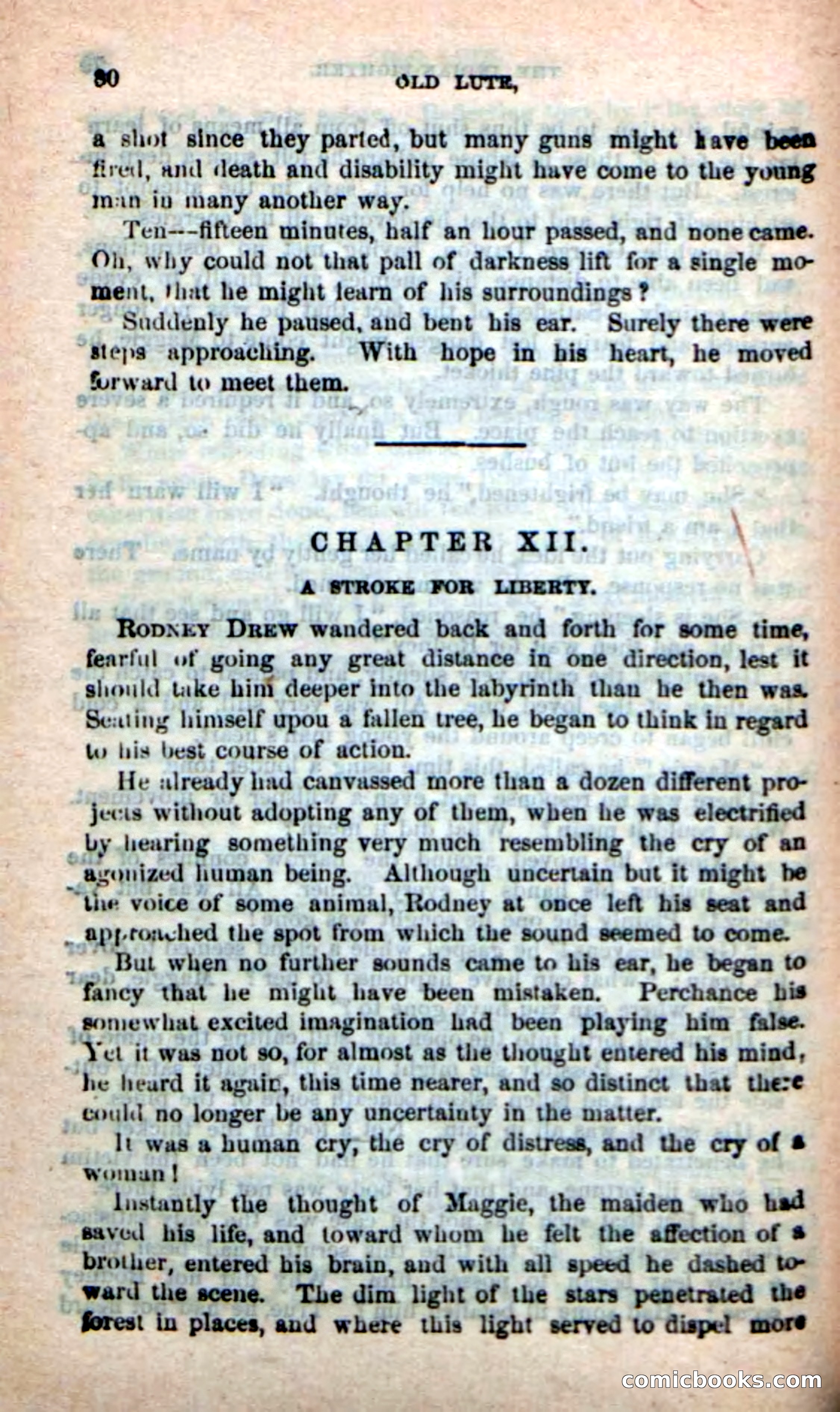 Old Lute, the Indian-Fighter — page 78 of 102
