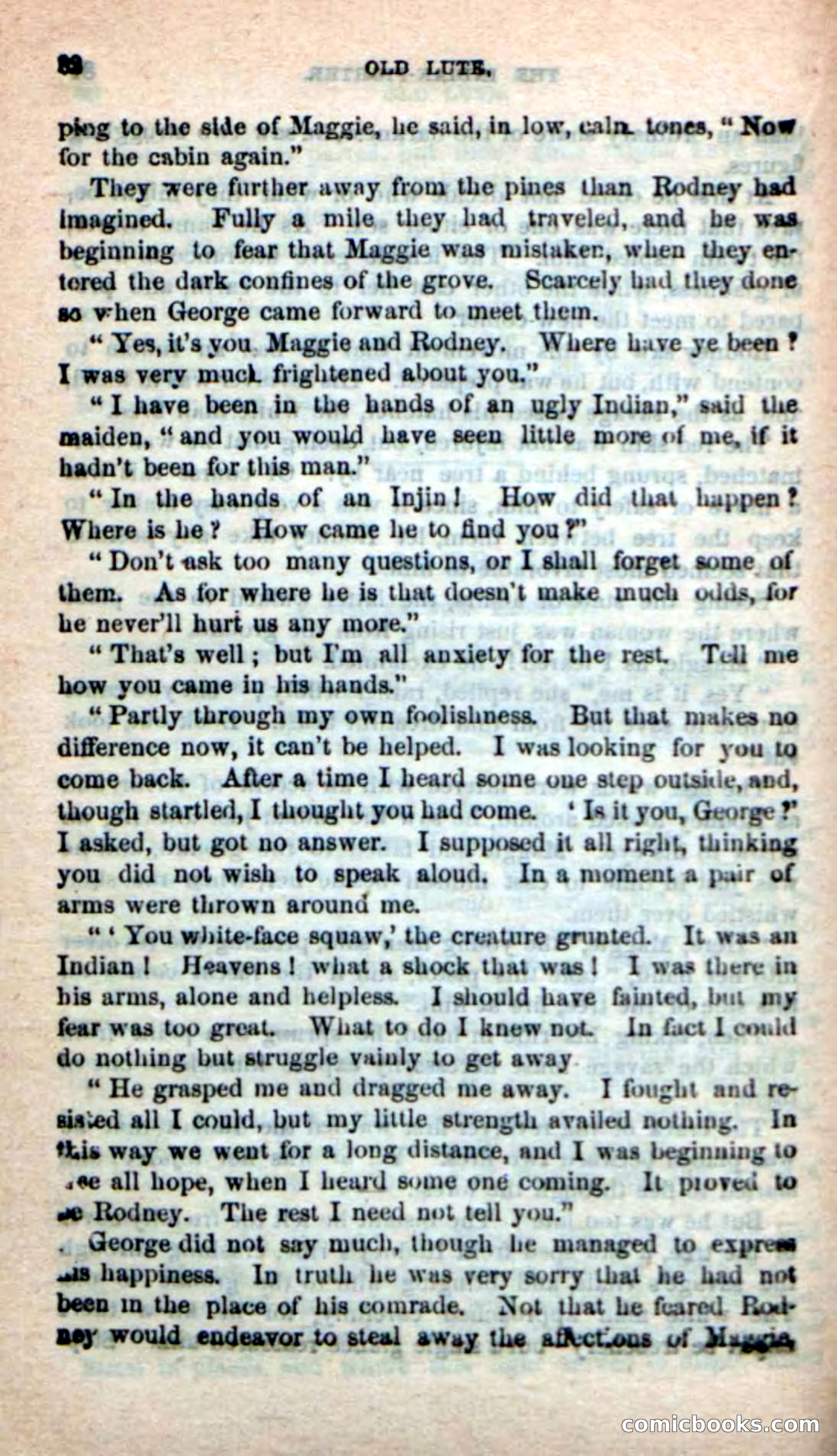 Old Lute, the Indian-Fighter — page 80 of 102