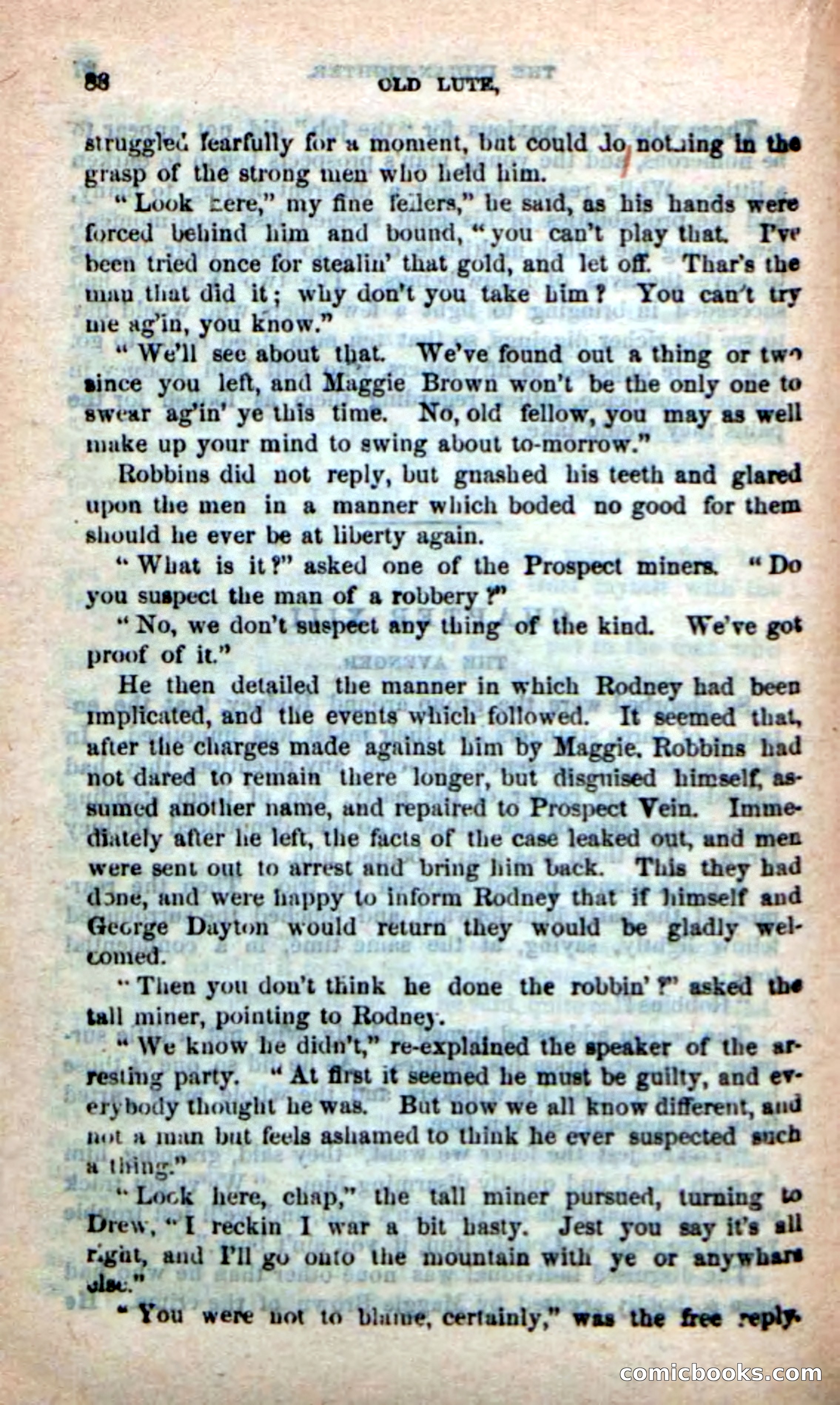 Old Lute, the Indian-Fighter — page 86 of 102