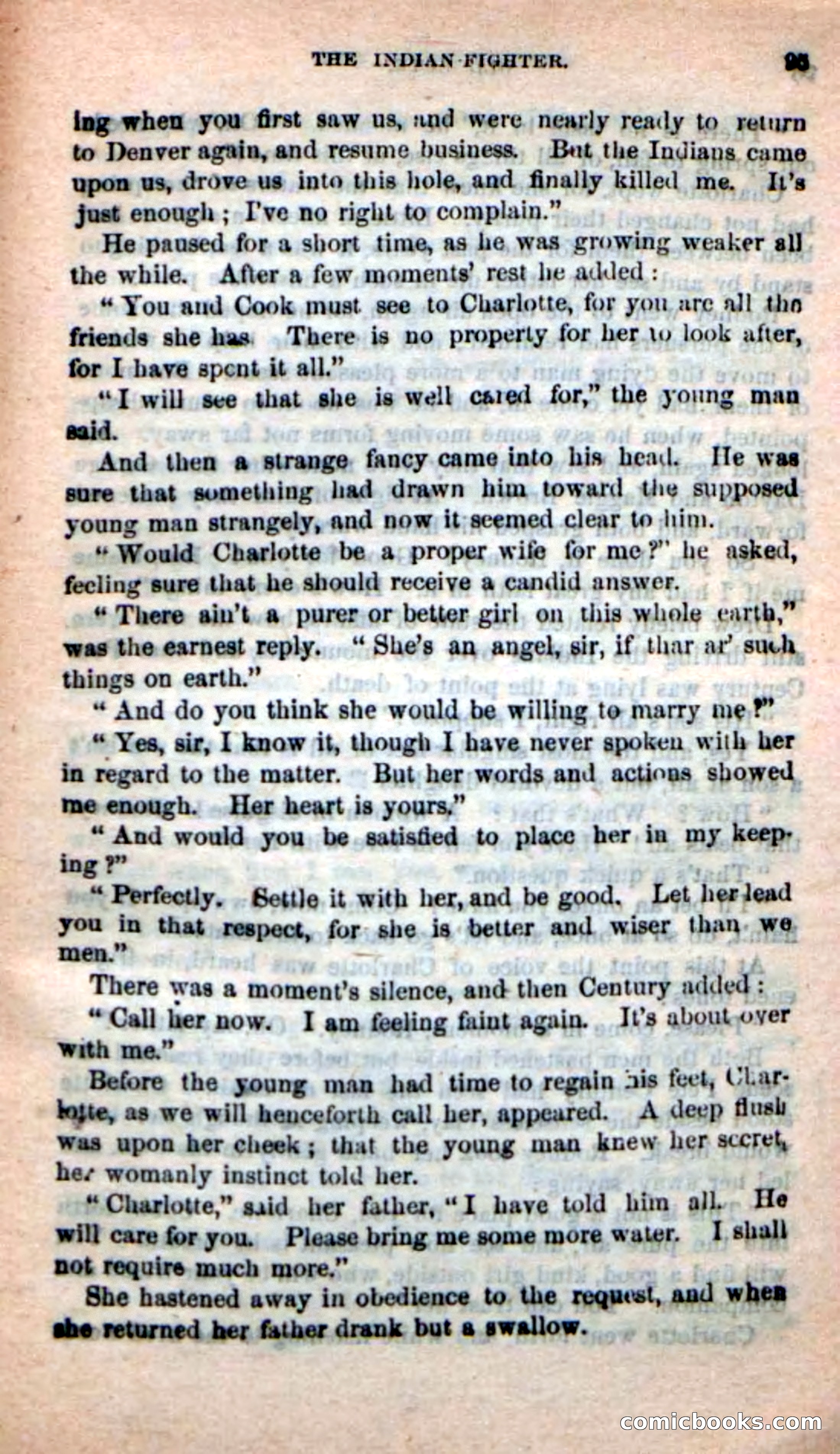 Old Lute, the Indian-Fighter — page 93 of 102