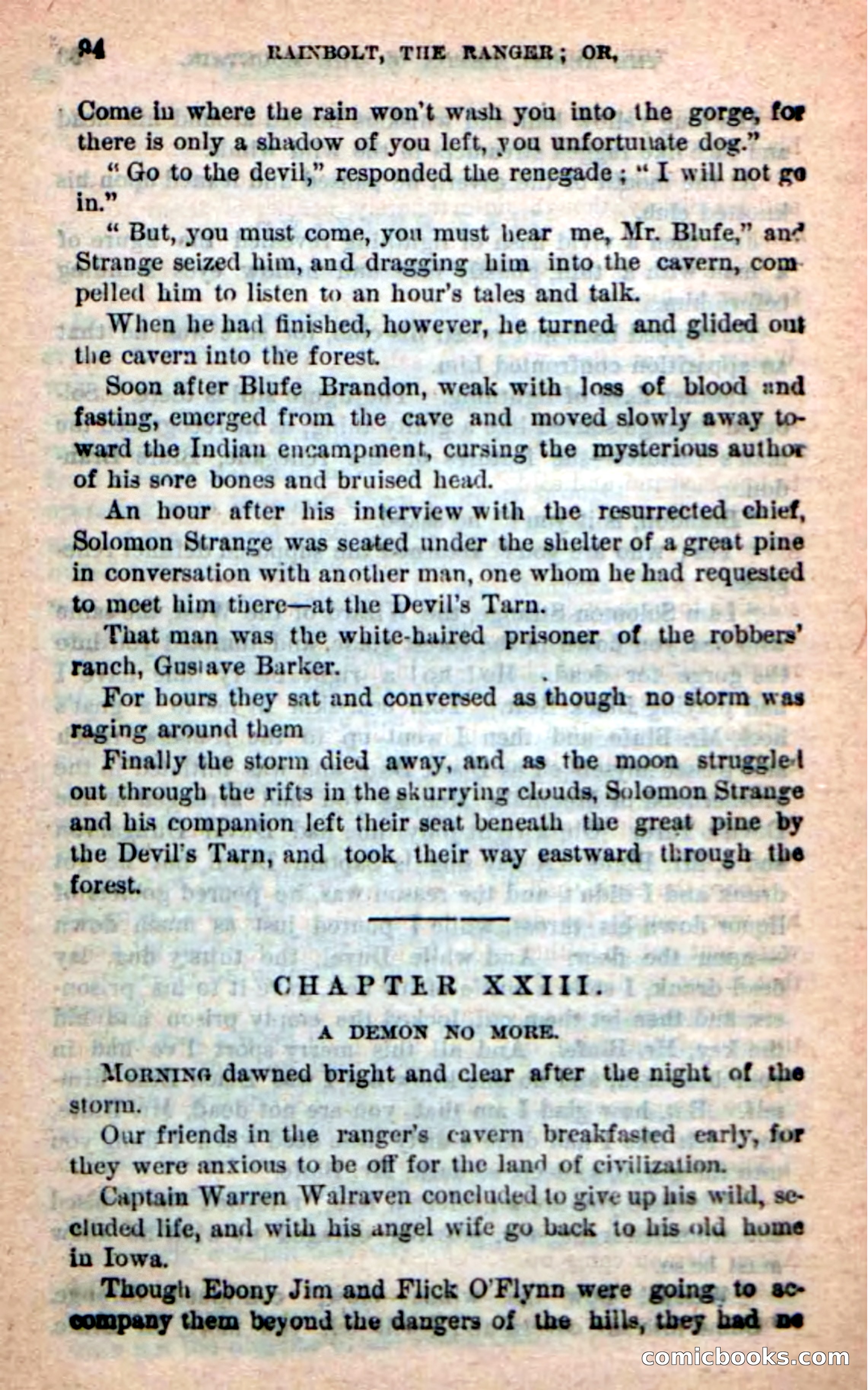 Rainbolt, the Ranger — page 90 of 100