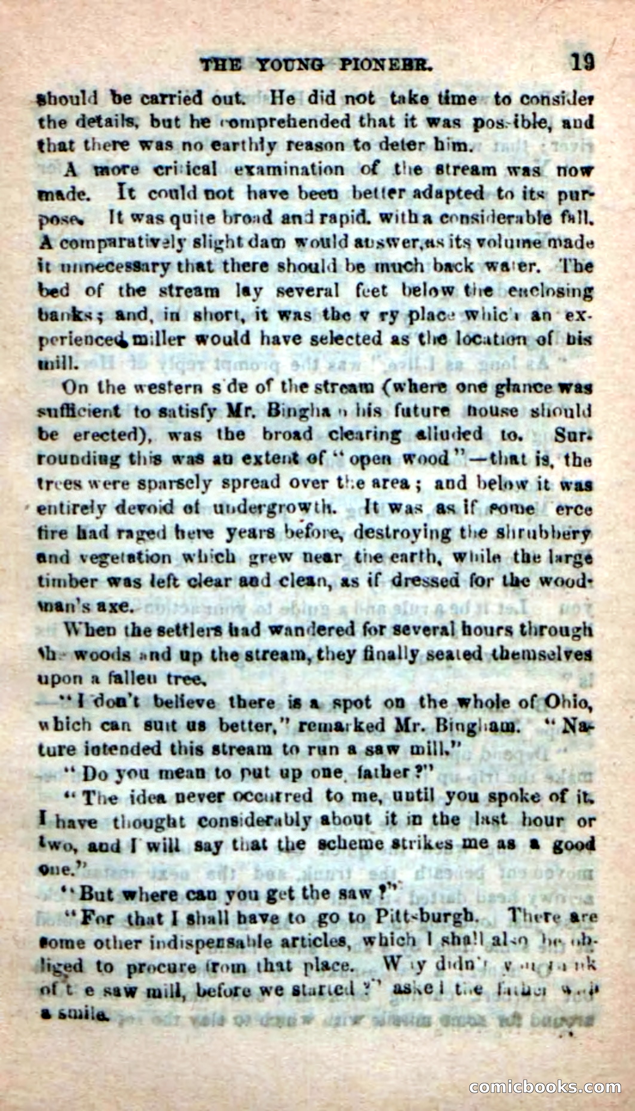 The Boy Pioneer — page 15 of 100