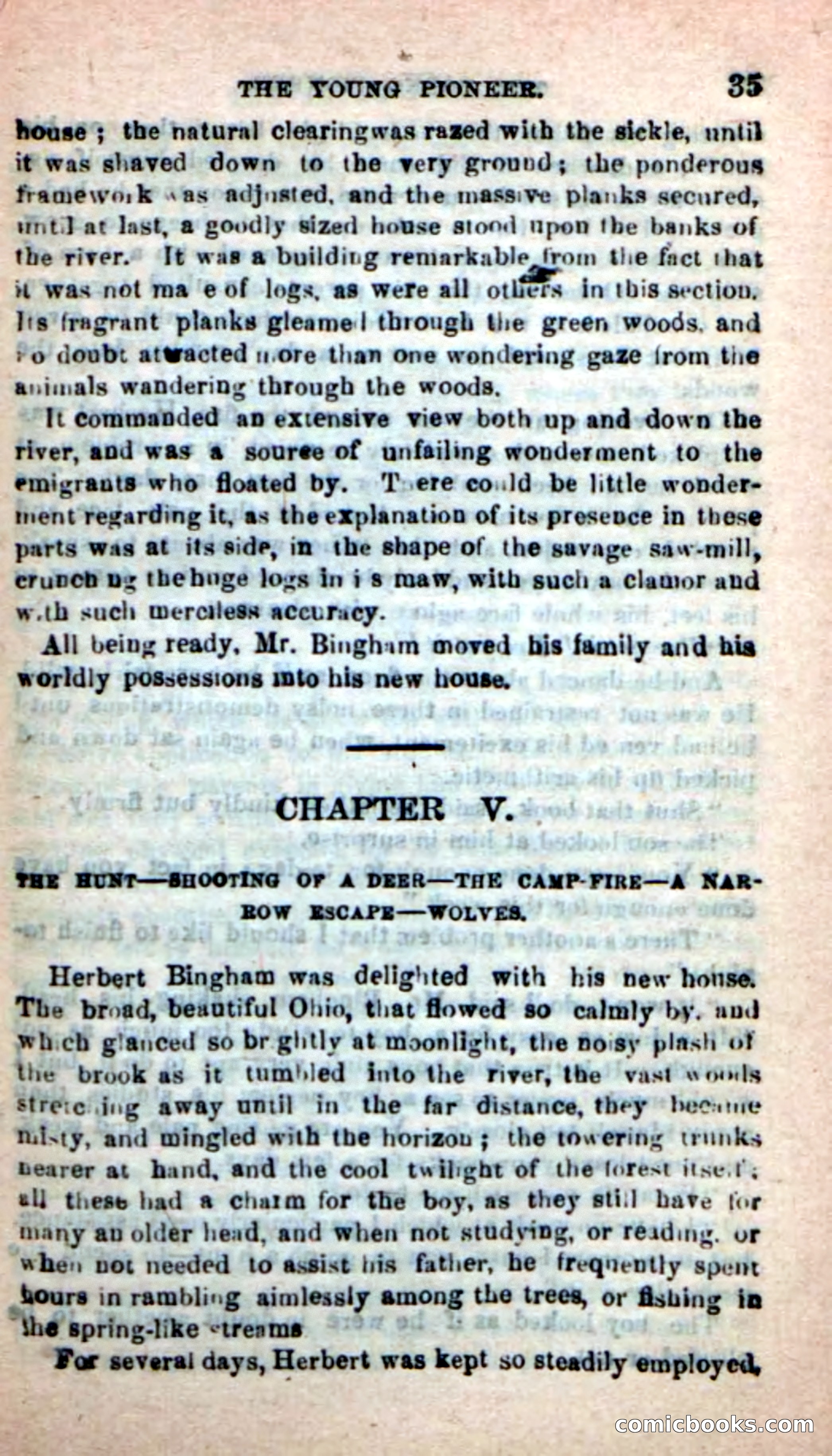 The Boy Pioneer — page 31 of 100