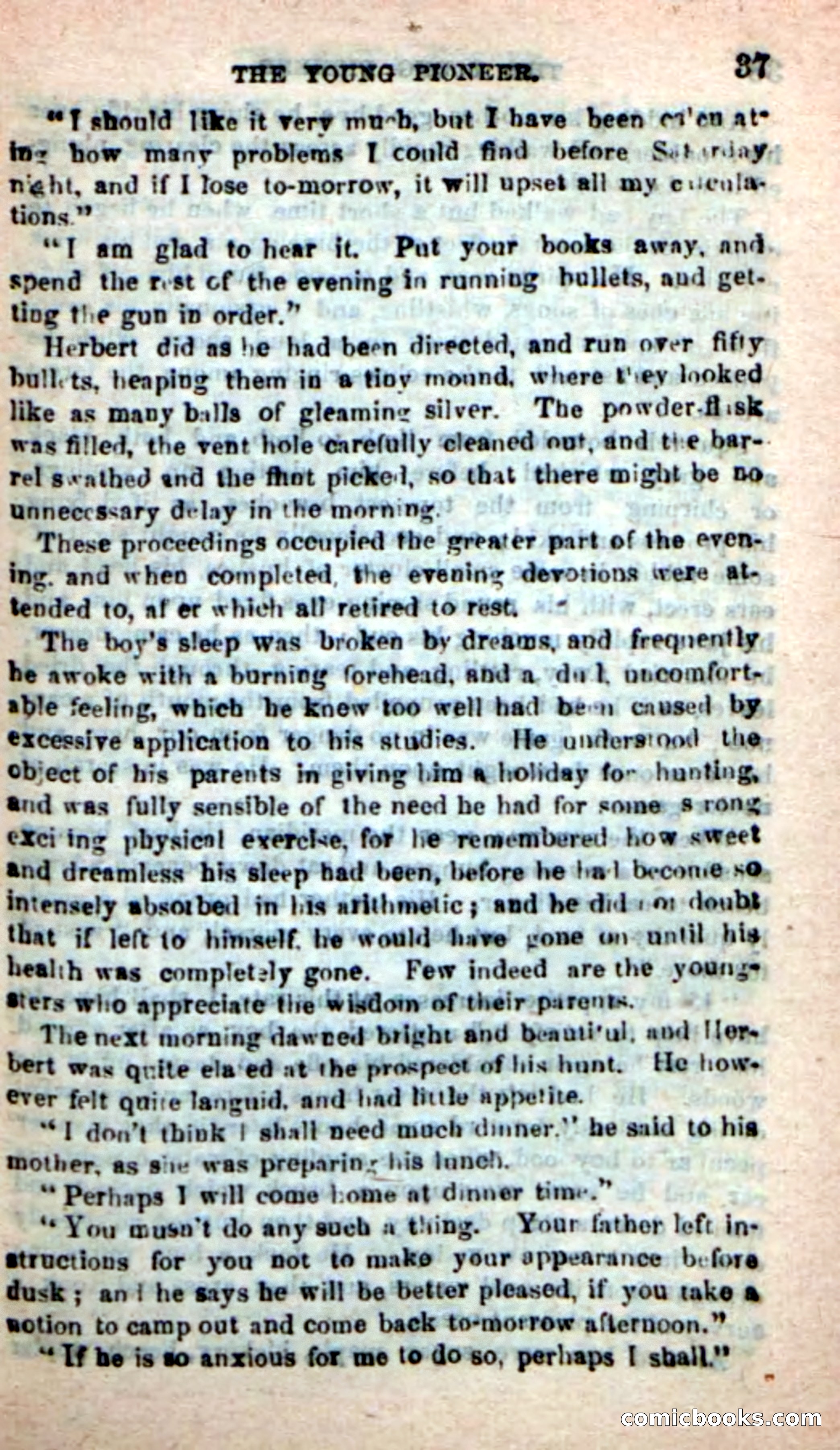 The Boy Pioneer — page 33 of 100