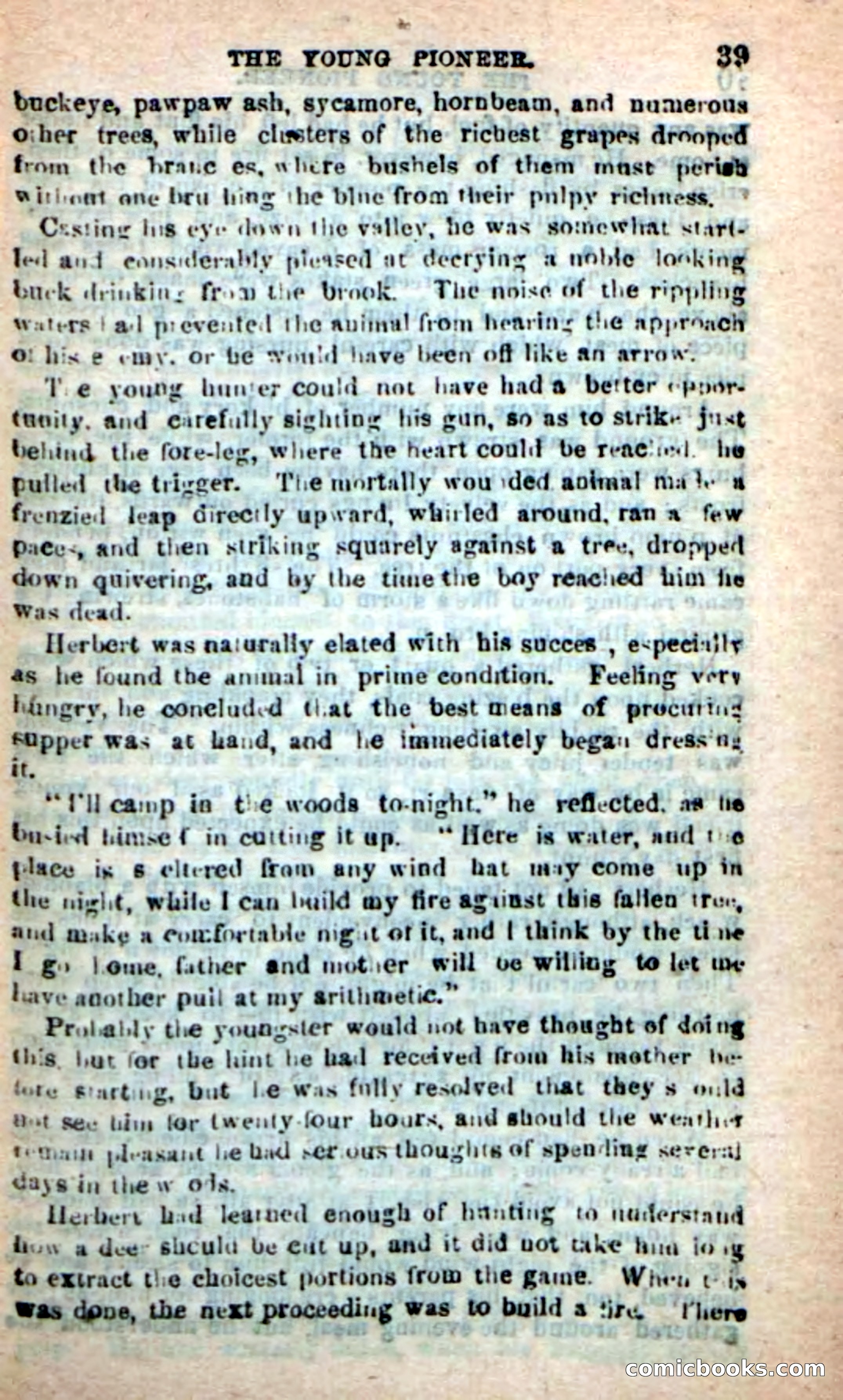 The Boy Pioneer — page 35 of 100