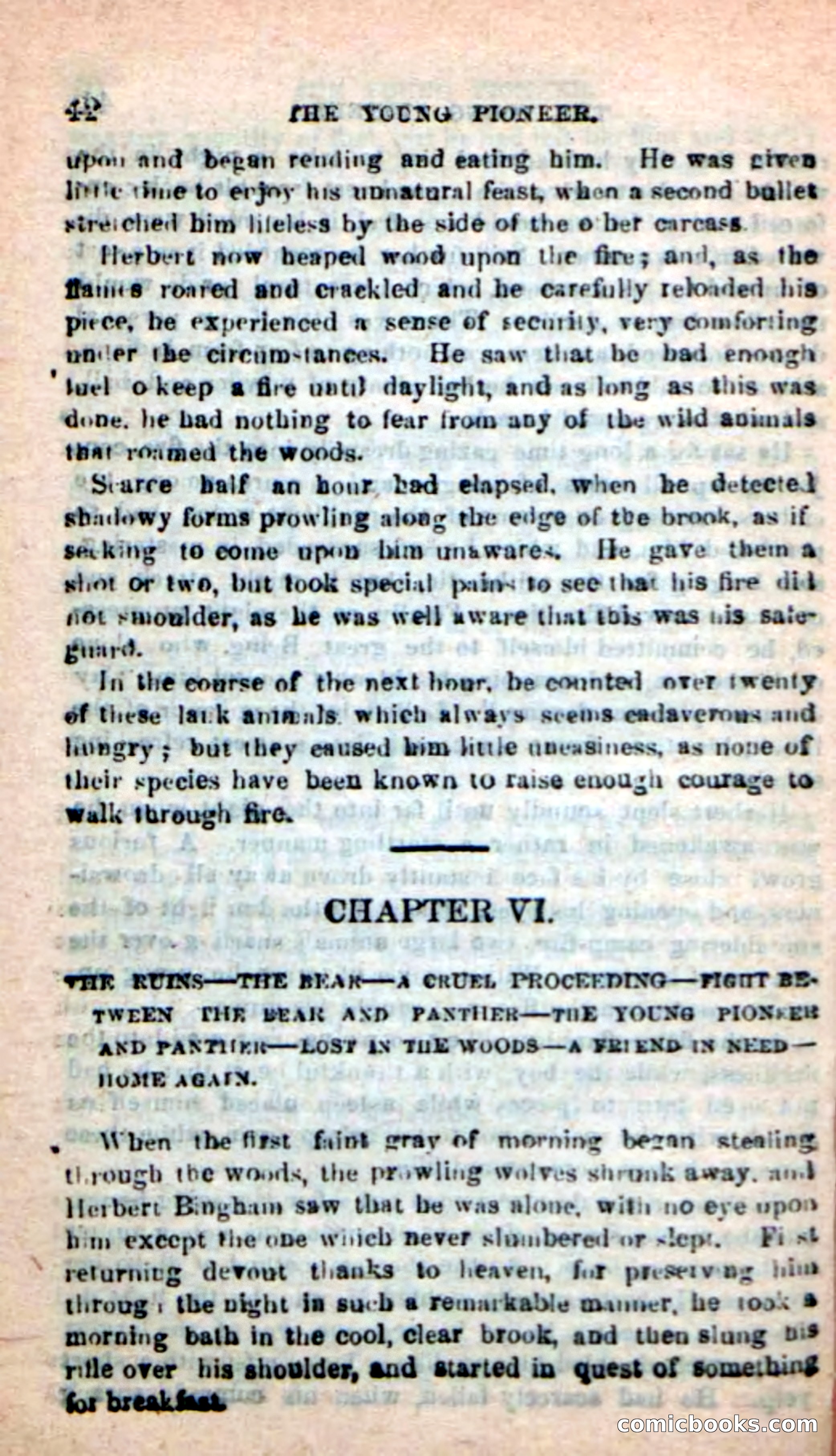 The Boy Pioneer — page 38 of 100