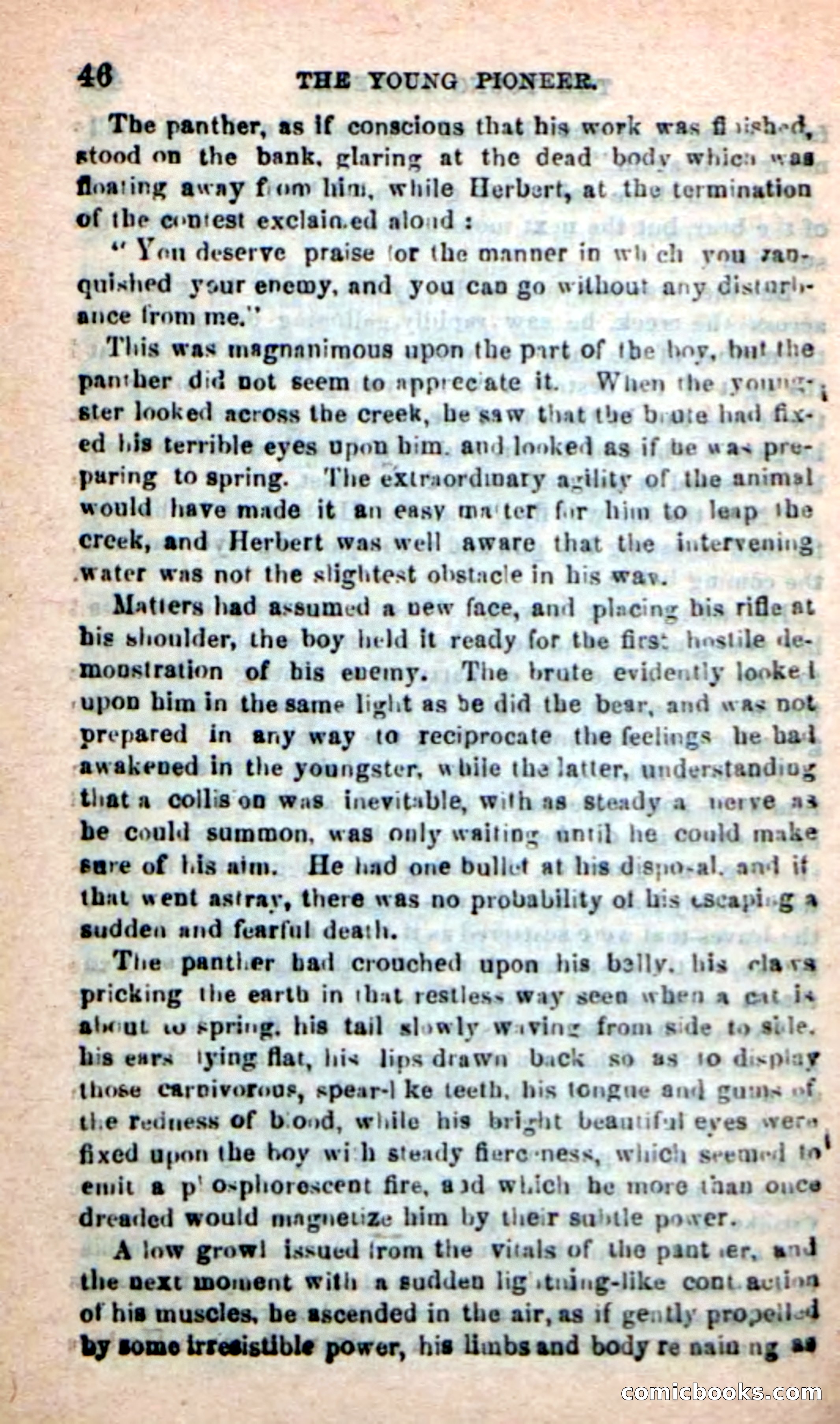 The Boy Pioneer — page 42 of 100