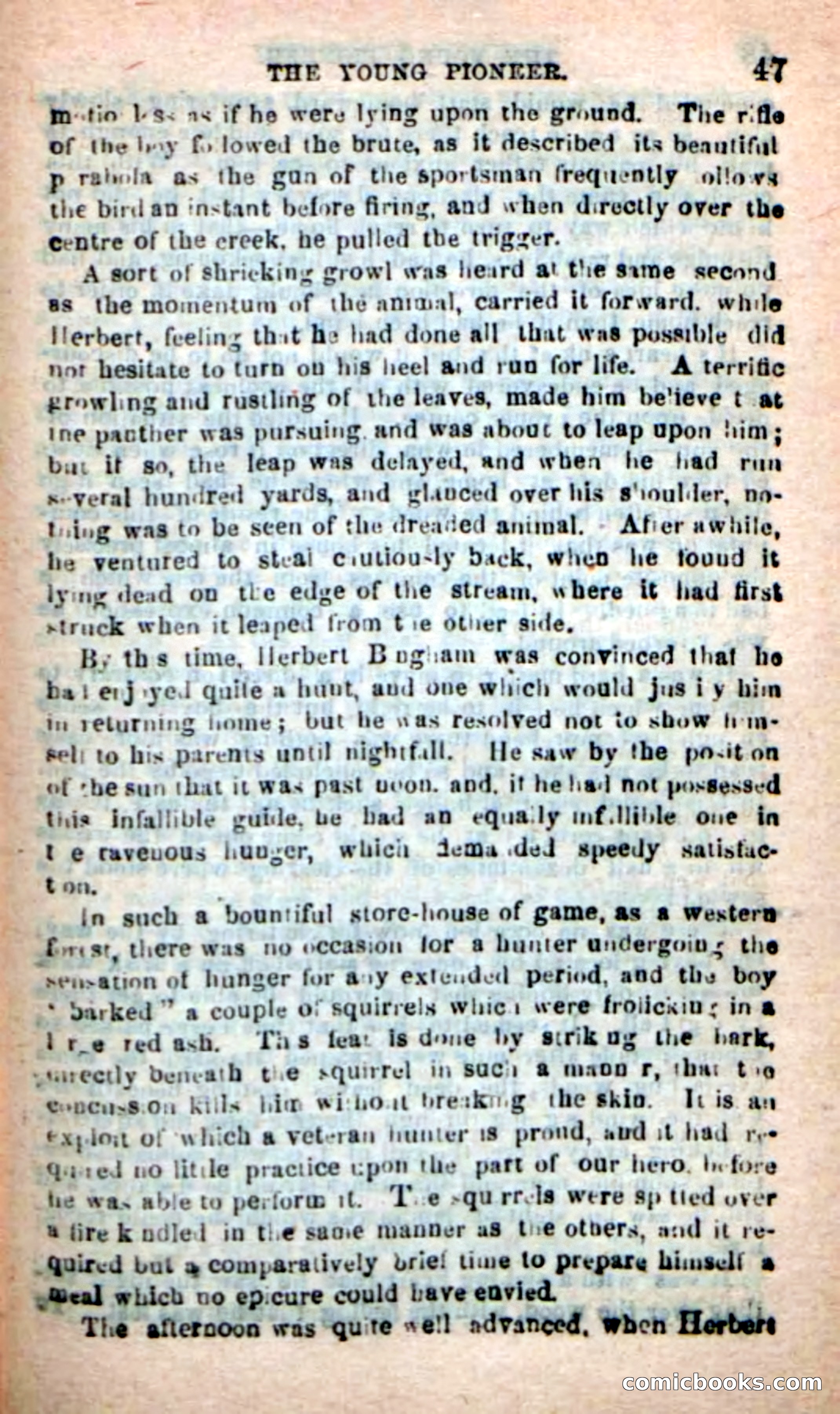 The Boy Pioneer — page 43 of 100