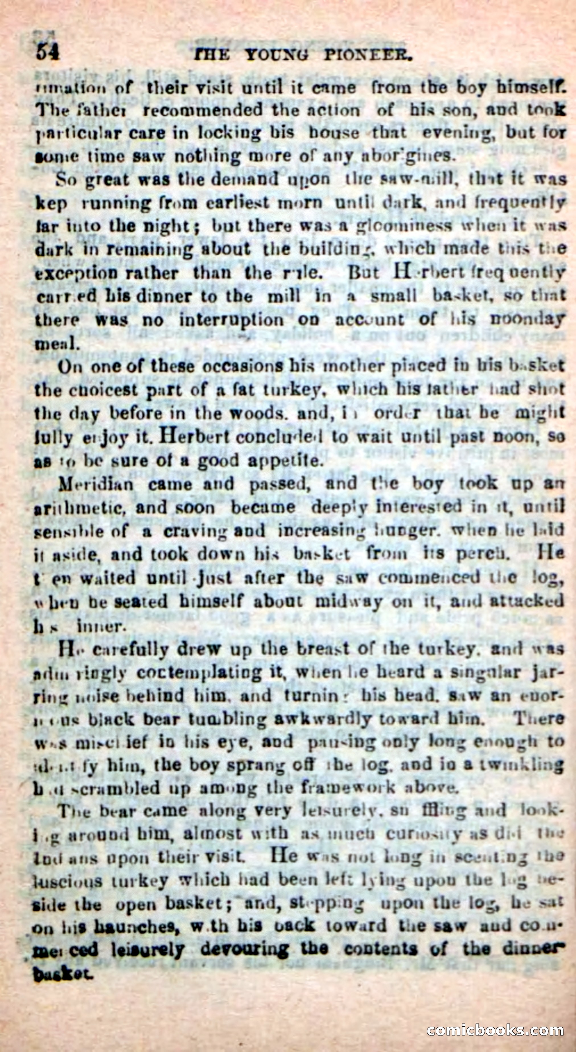 The Boy Pioneer — page 50 of 100