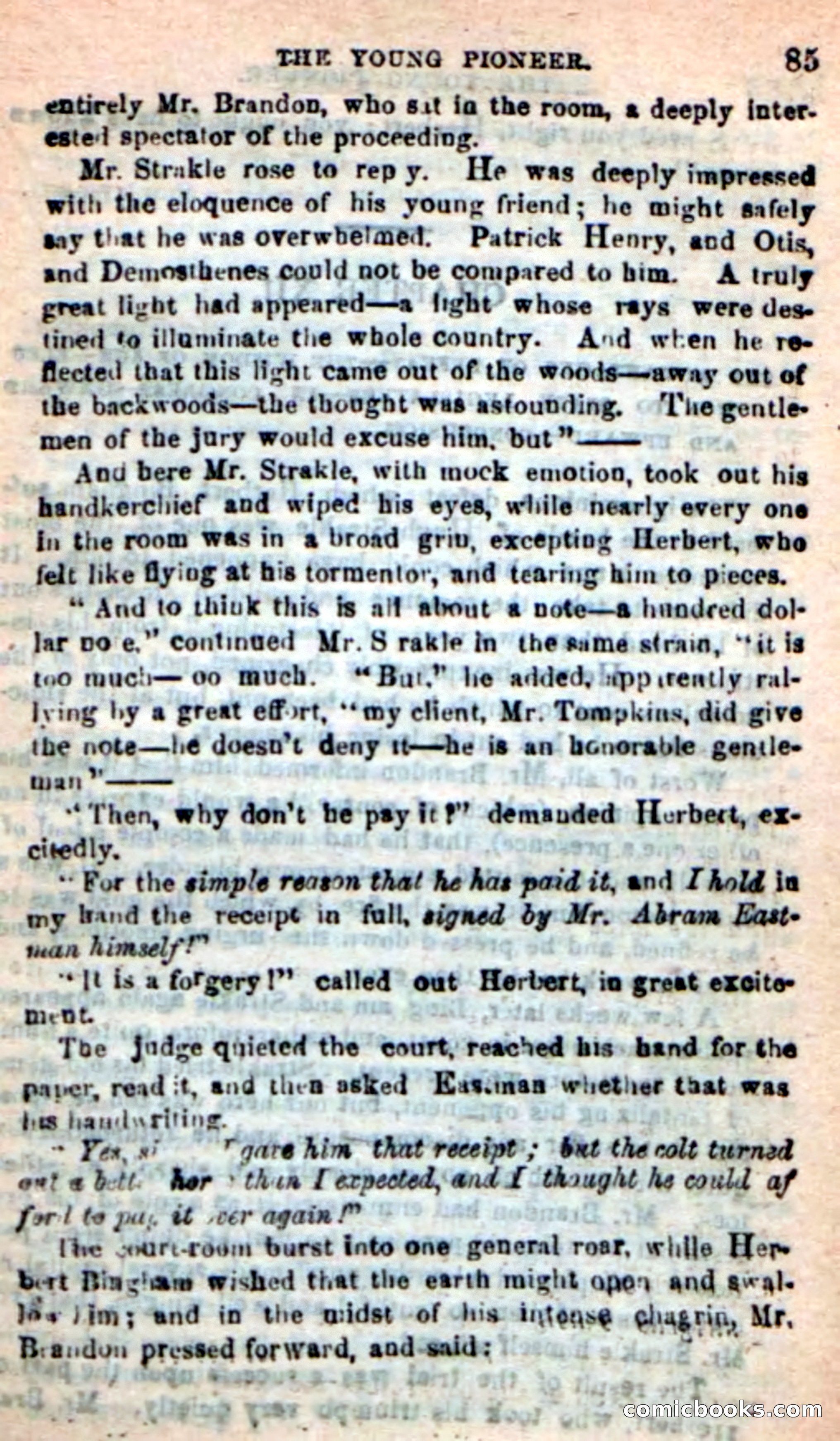 The Boy Pioneer — page 81 of 100