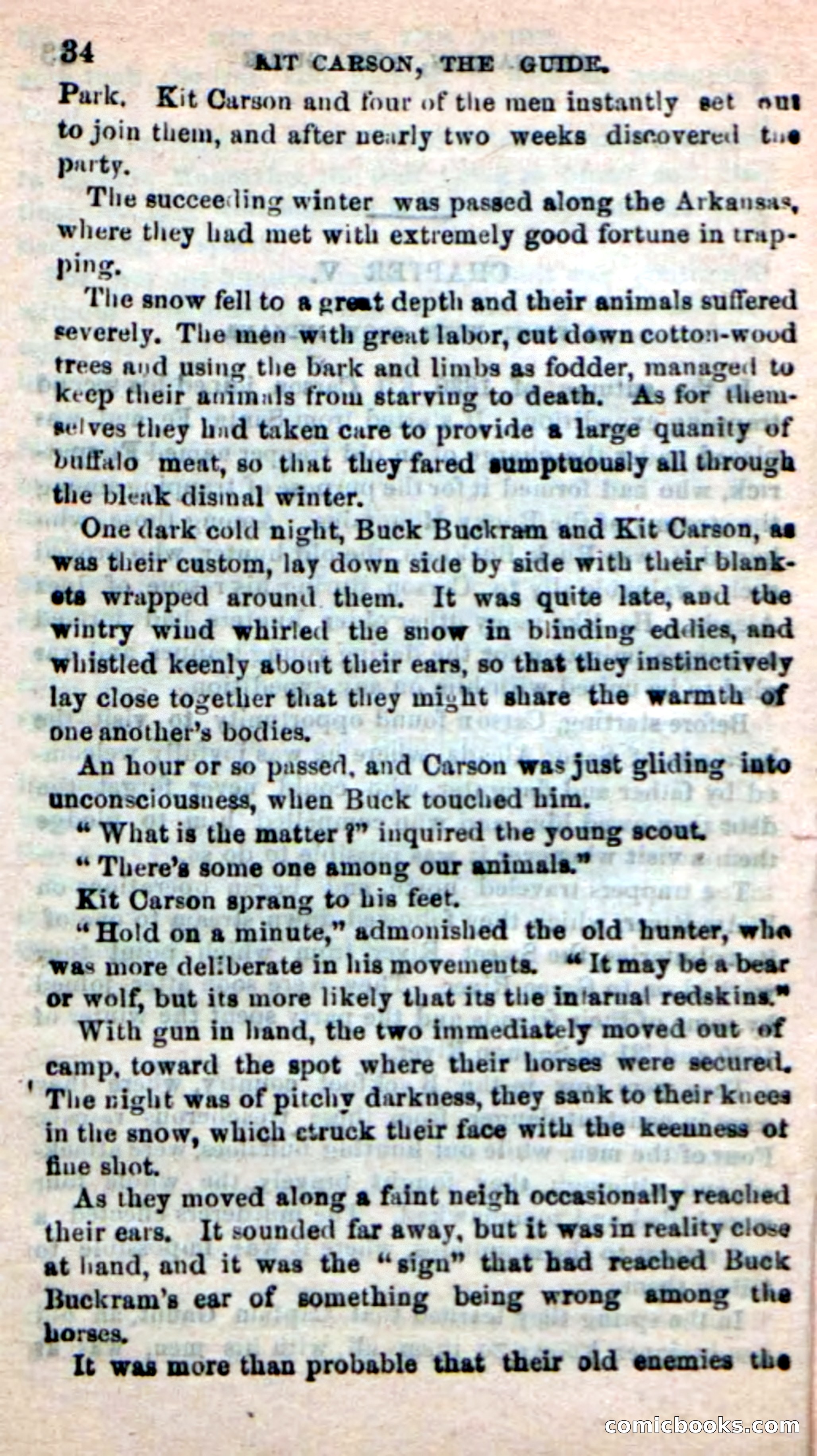 Beadle's New Dime Novels: Carson, the Guide — page 30 of 100