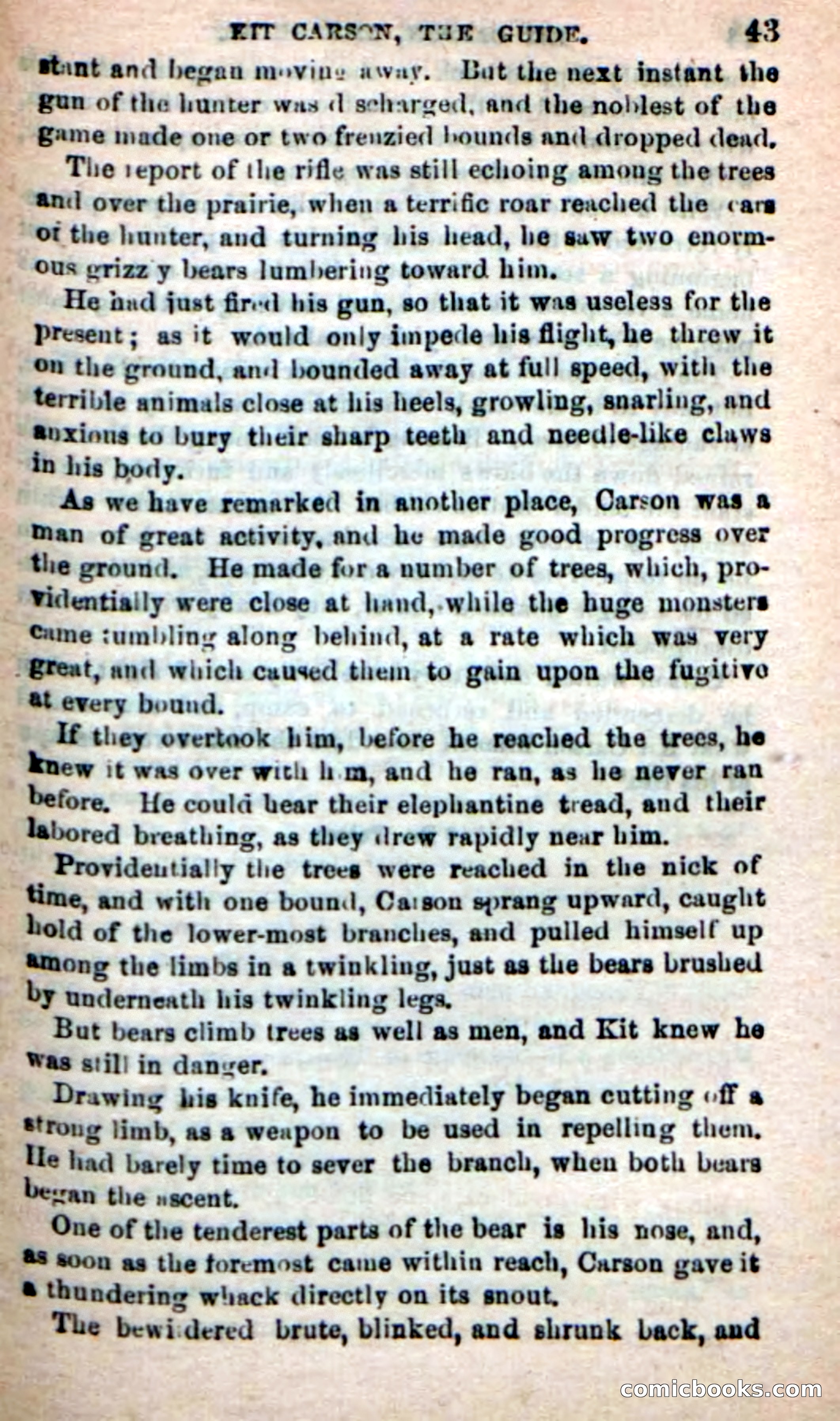 Beadle's New Dime Novels: Carson, the Guide — page 39 of 100