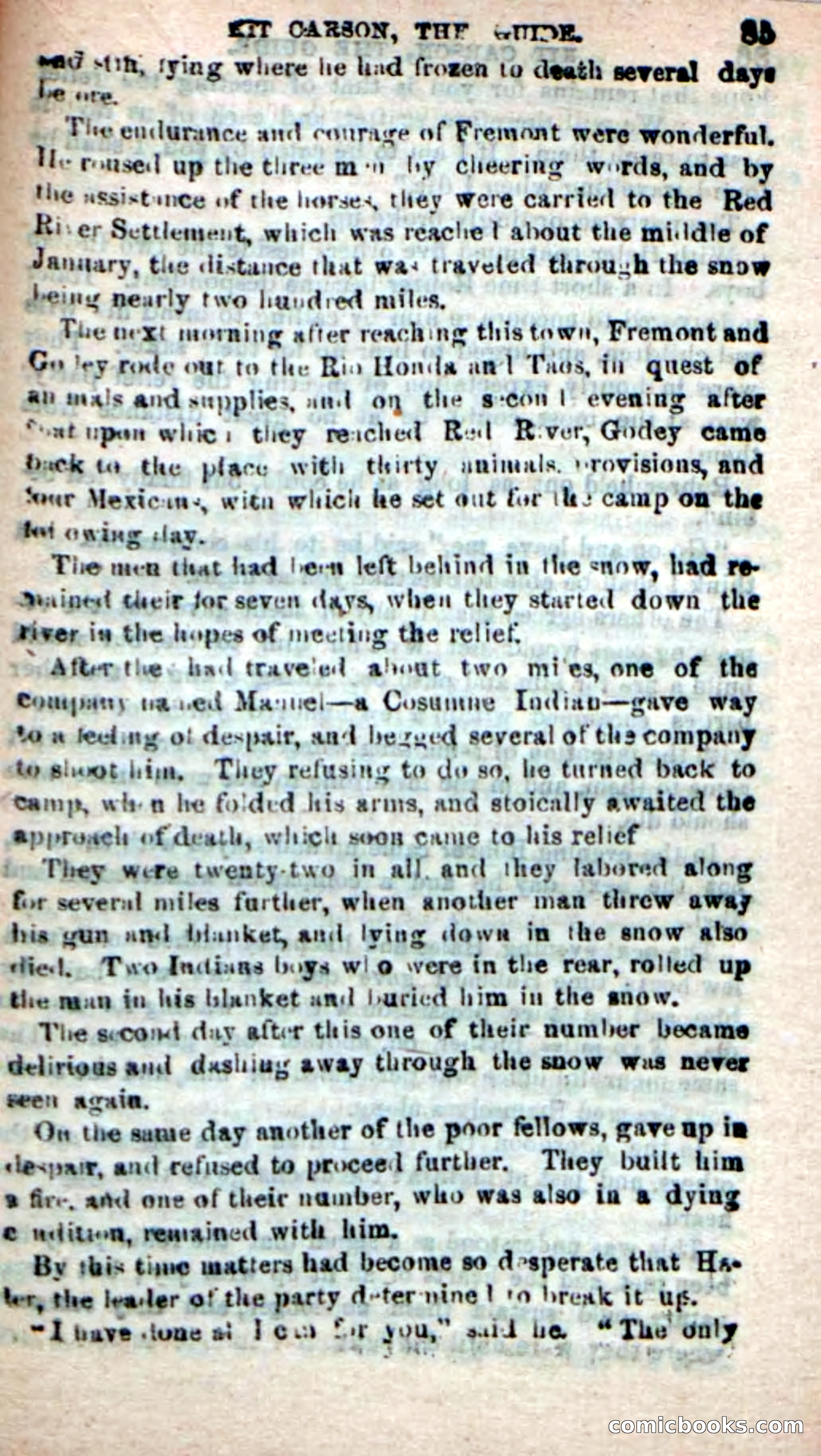 Beadle's New Dime Novels: Carson, the Guide — page 81 of 100