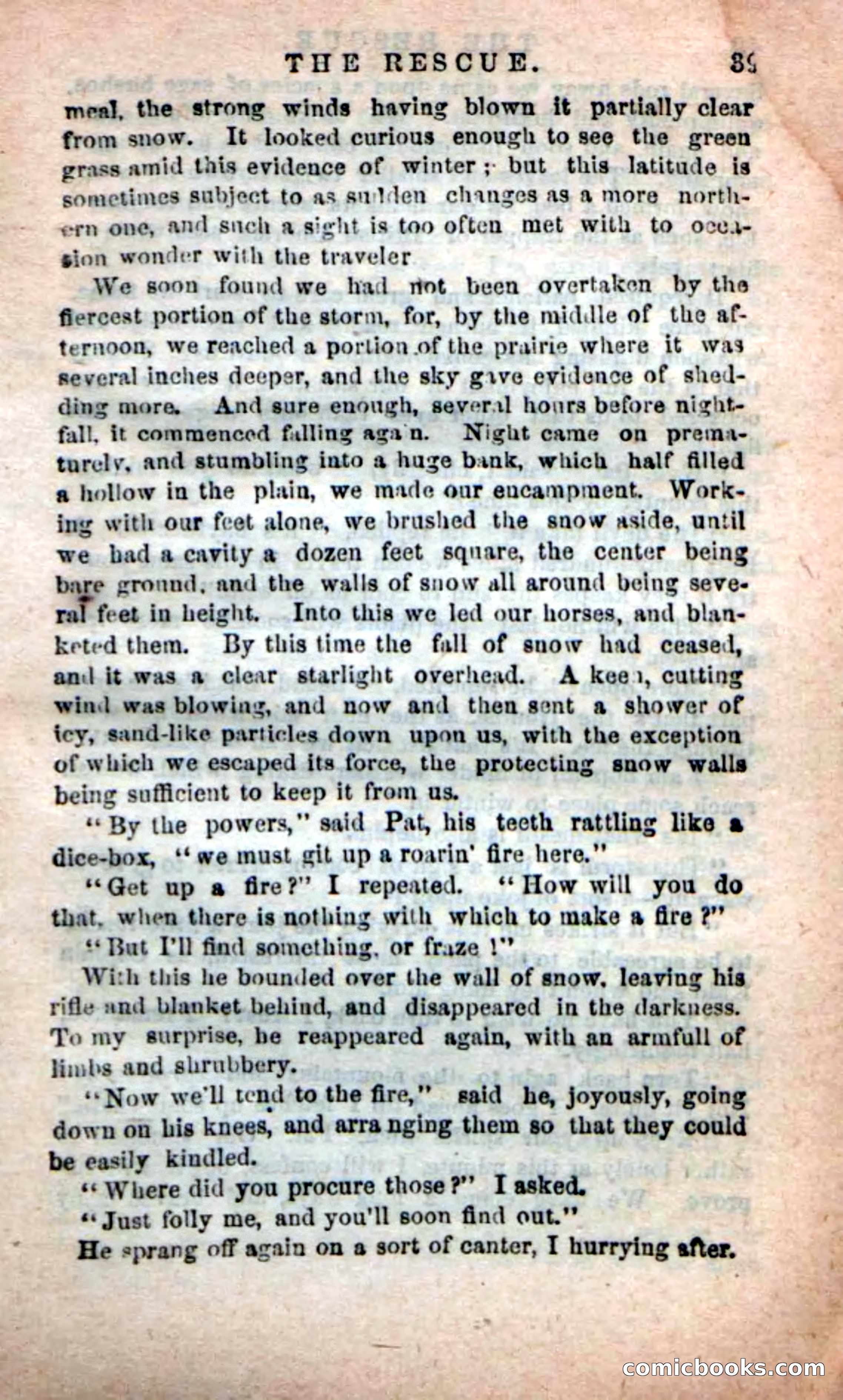 Beadle's New Dime Novels: The Apache Guide — page 35 of 100
