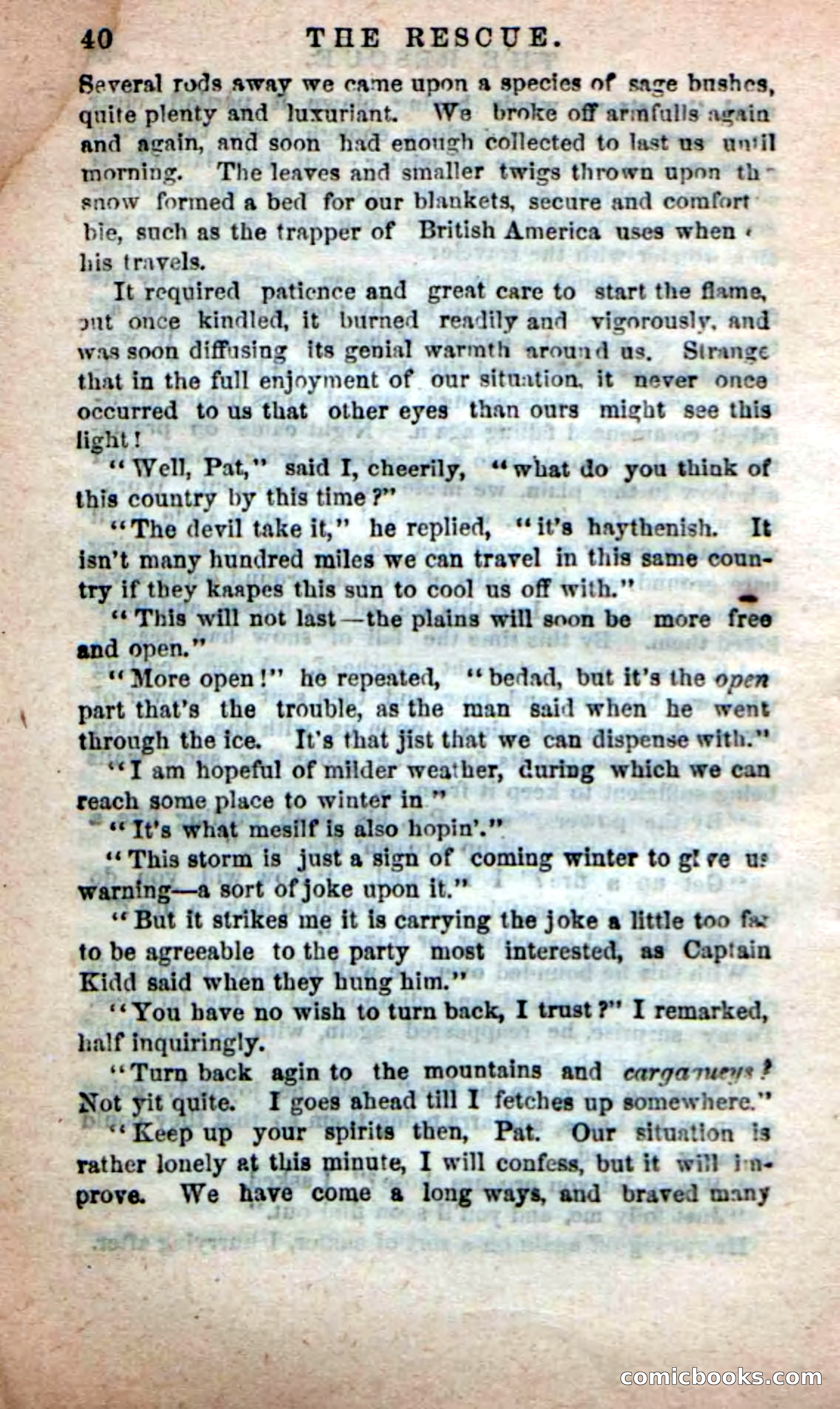 Beadle's New Dime Novels: The Apache Guide — page 36 of 100