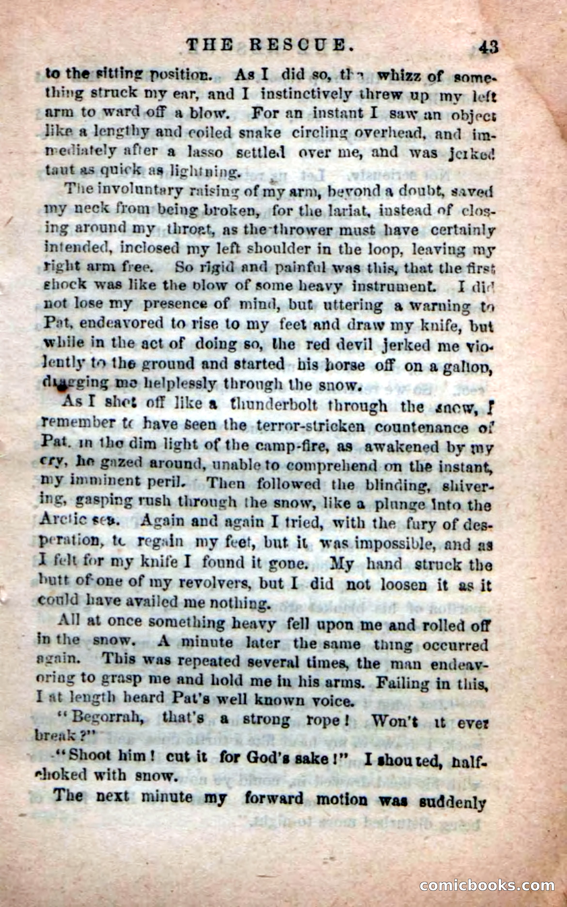 Beadle's New Dime Novels: The Apache Guide — page 39 of 100