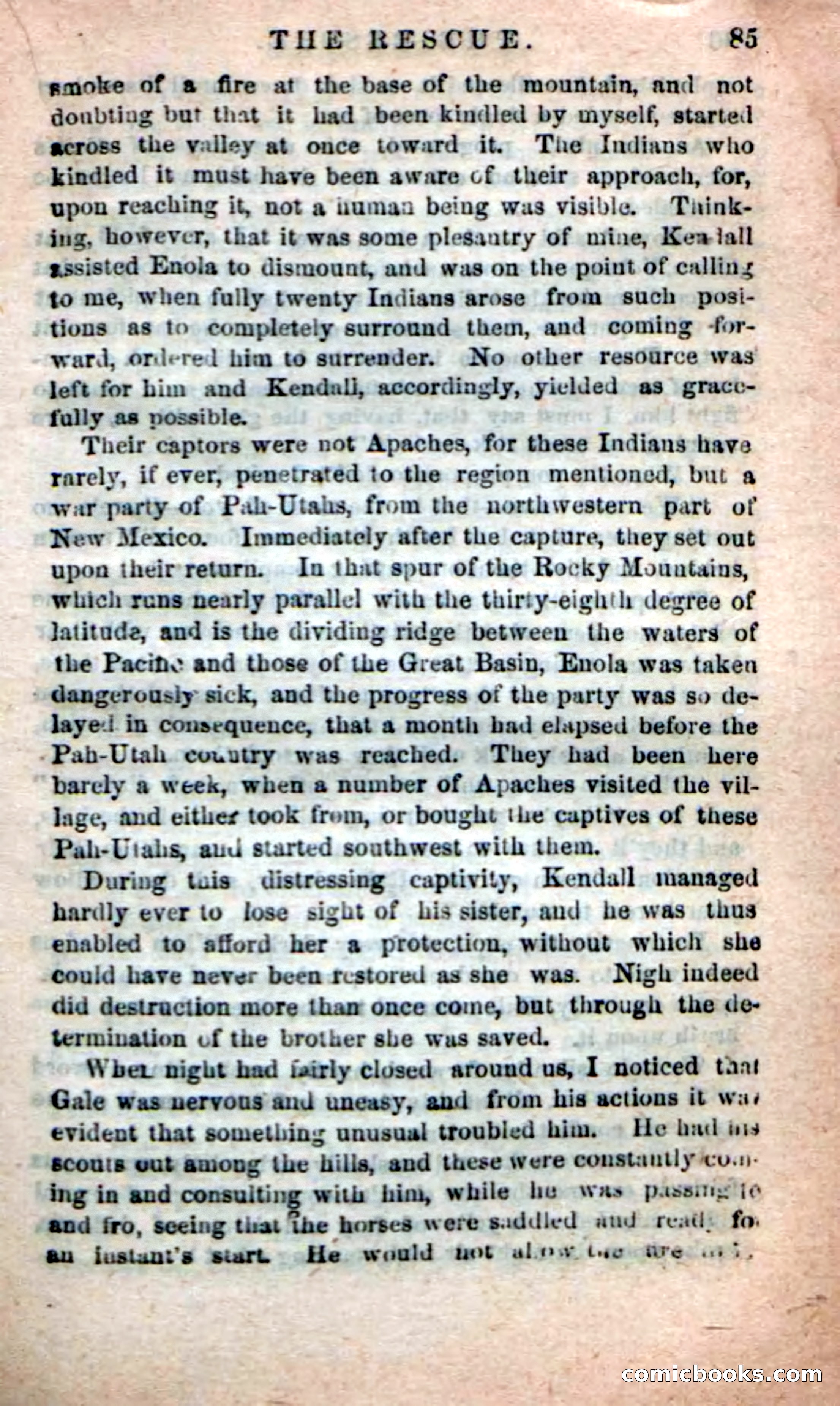 Beadle's New Dime Novels: The Apache Guide — page 81 of 100