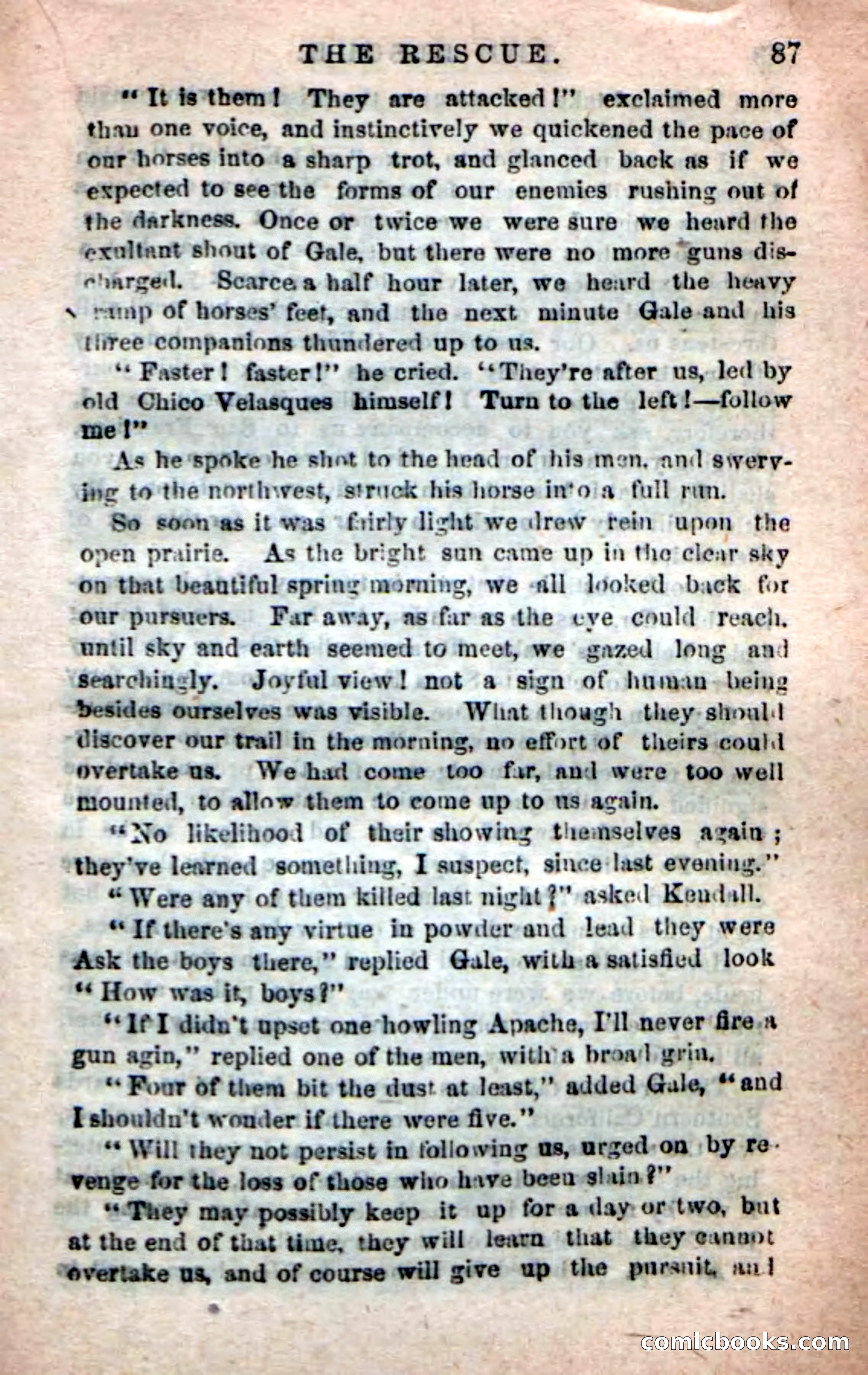 Beadle's New Dime Novels: The Apache Guide — page 83 of 100