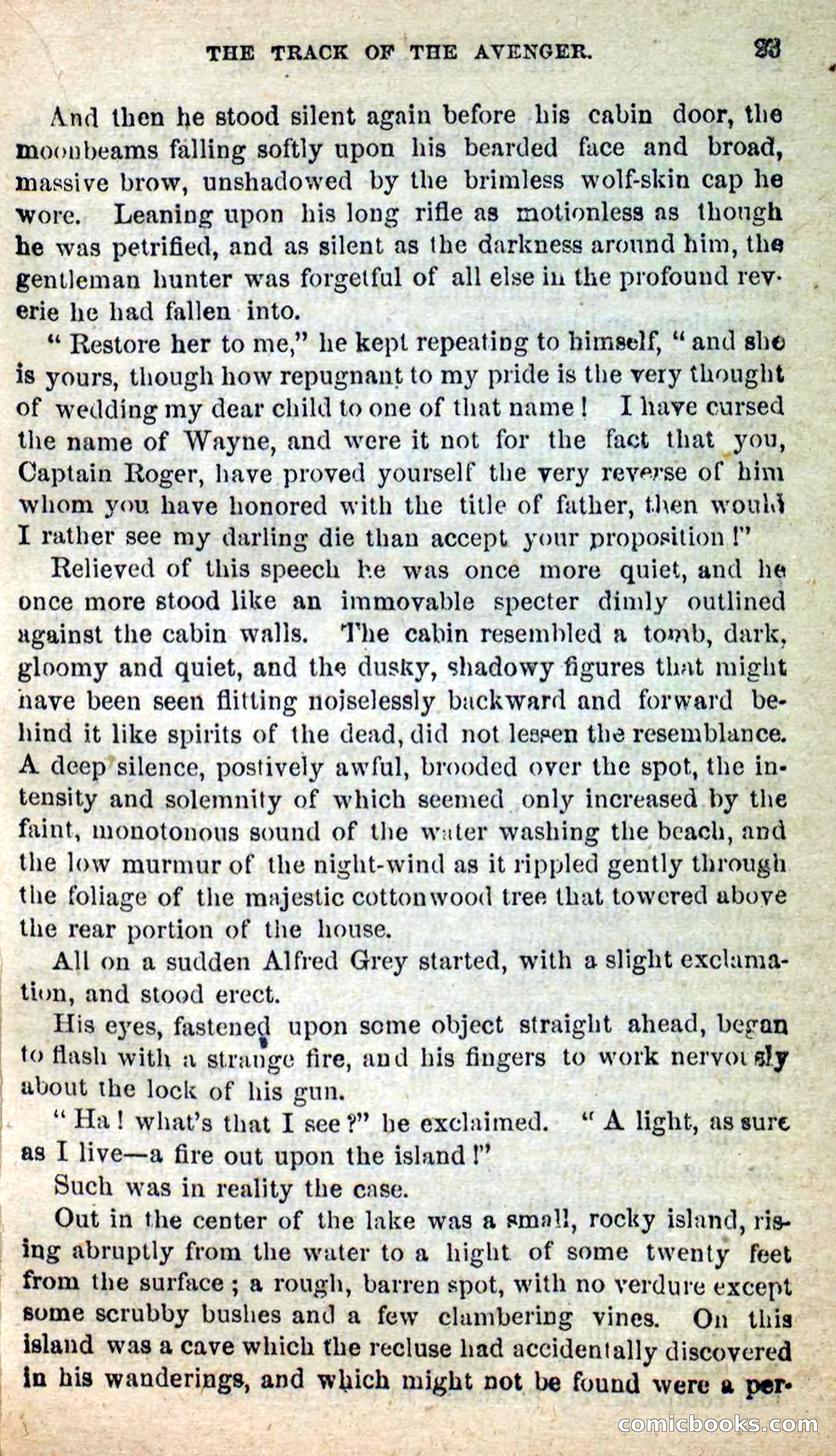 The White Chief — page 21 of 102