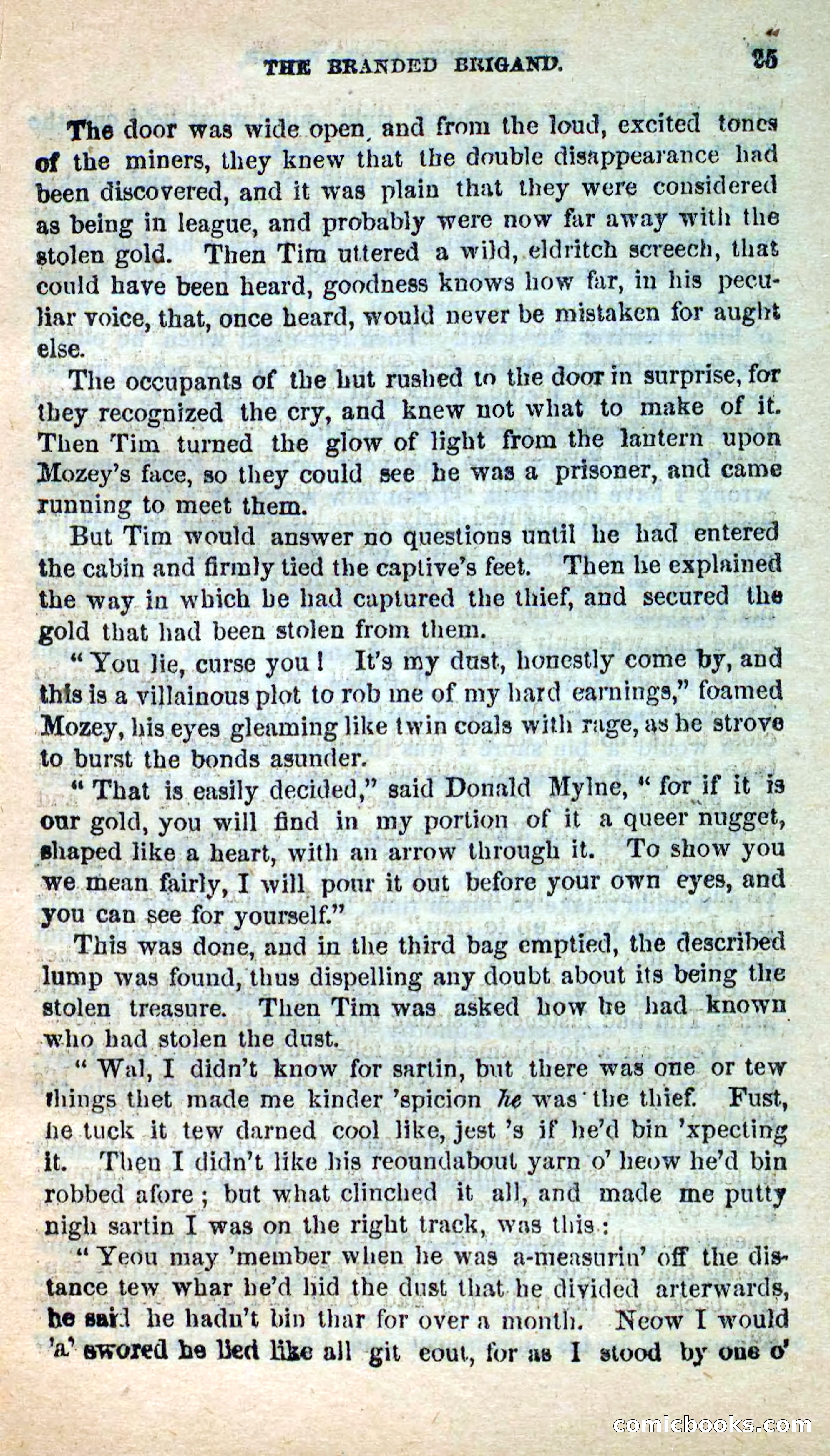 The White Outlaw — page 21 of 102