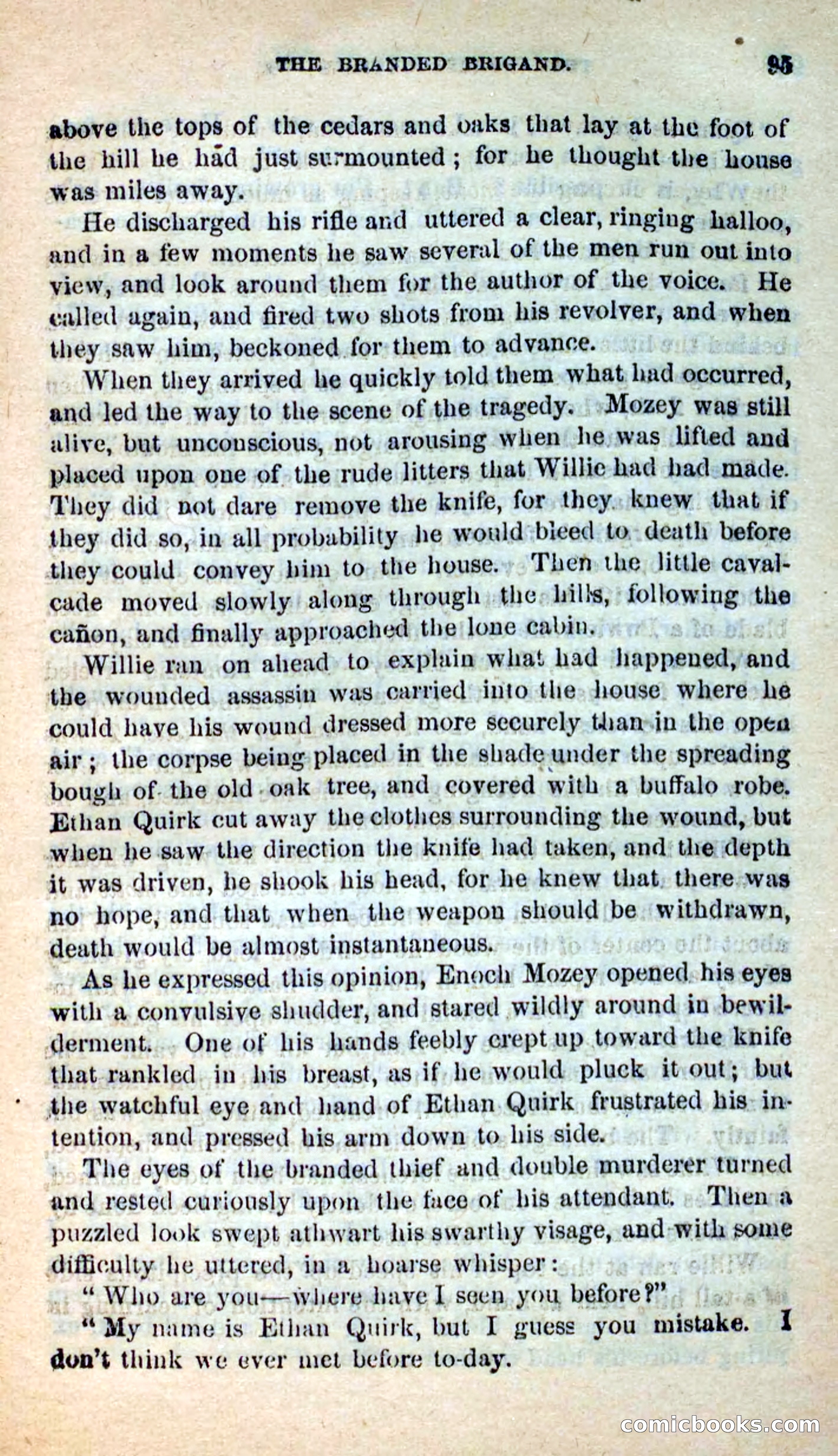 The White Outlaw — page 93 of 102