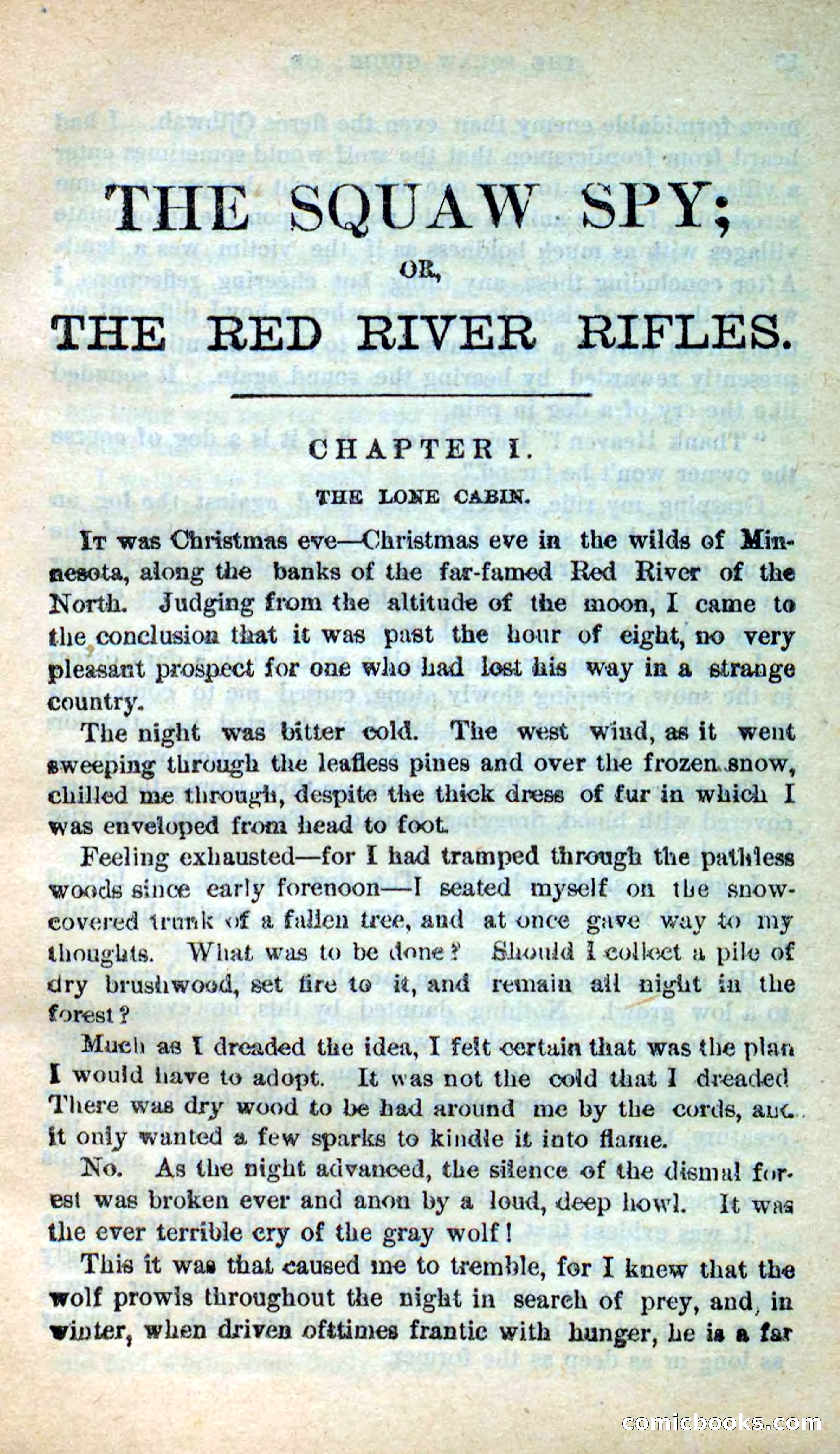 The Squaw Spy — page 5 of 101
