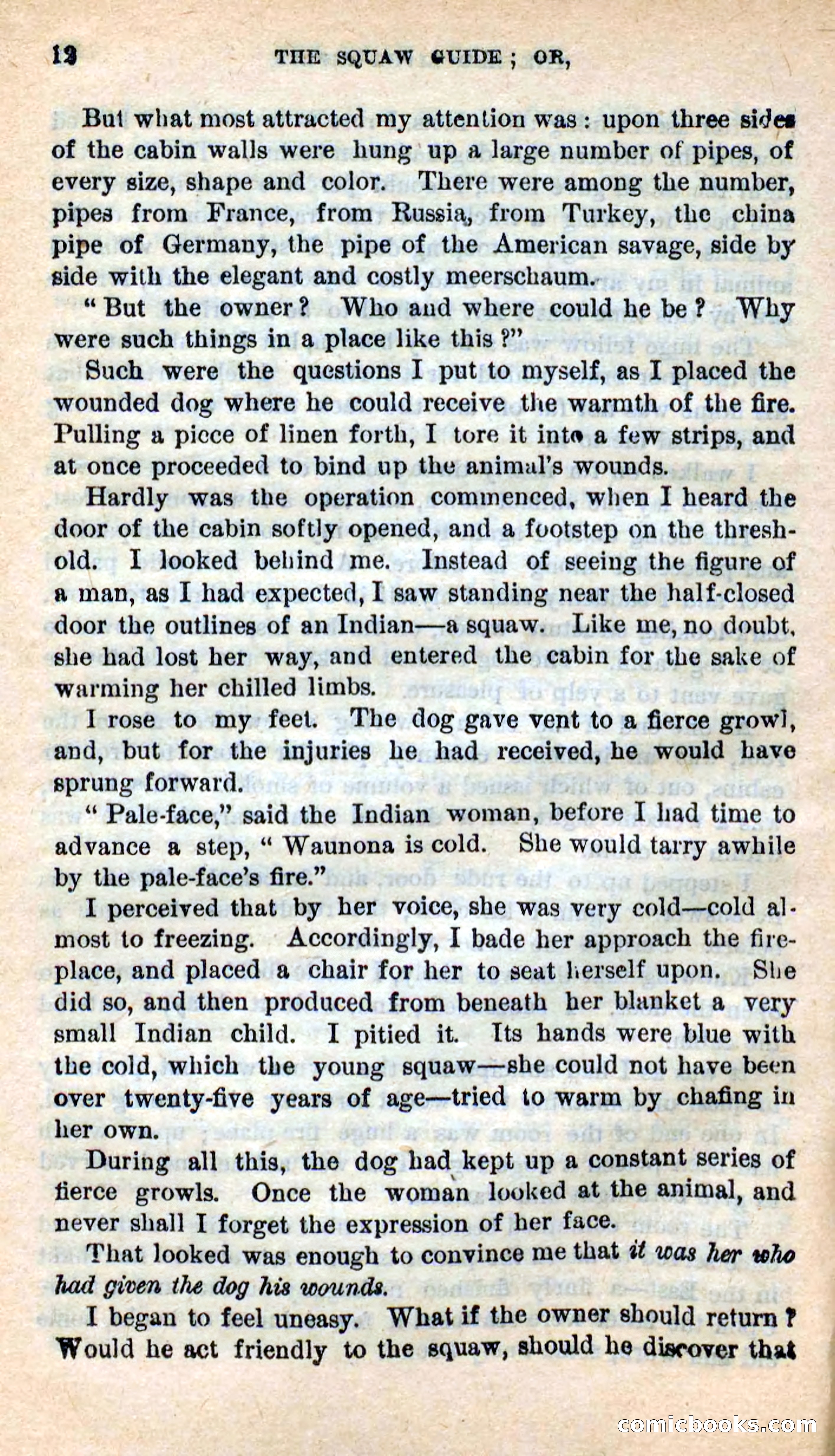 The Squaw Spy — page 8 of 101
