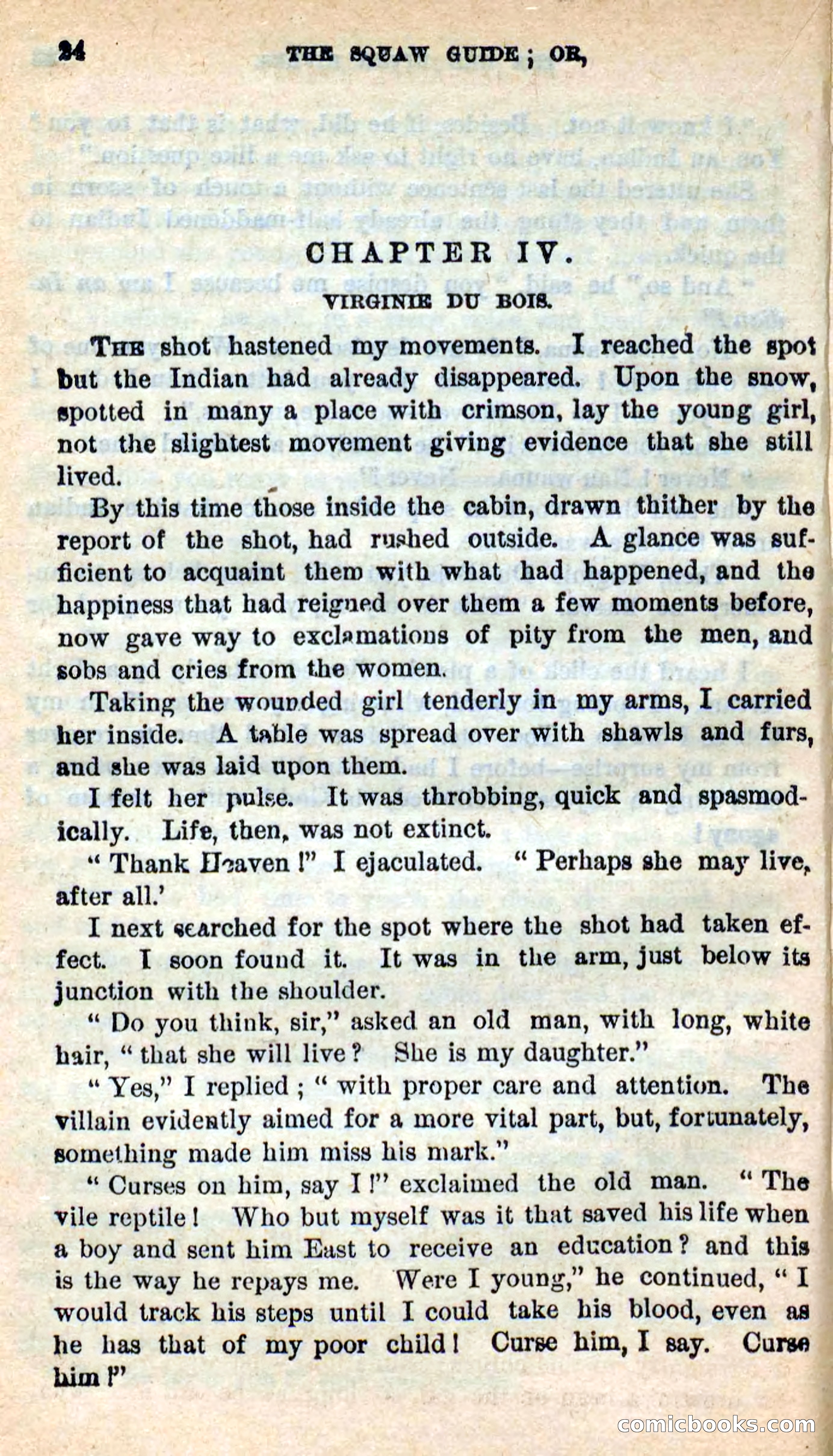 The Squaw Spy — page 21 of 101