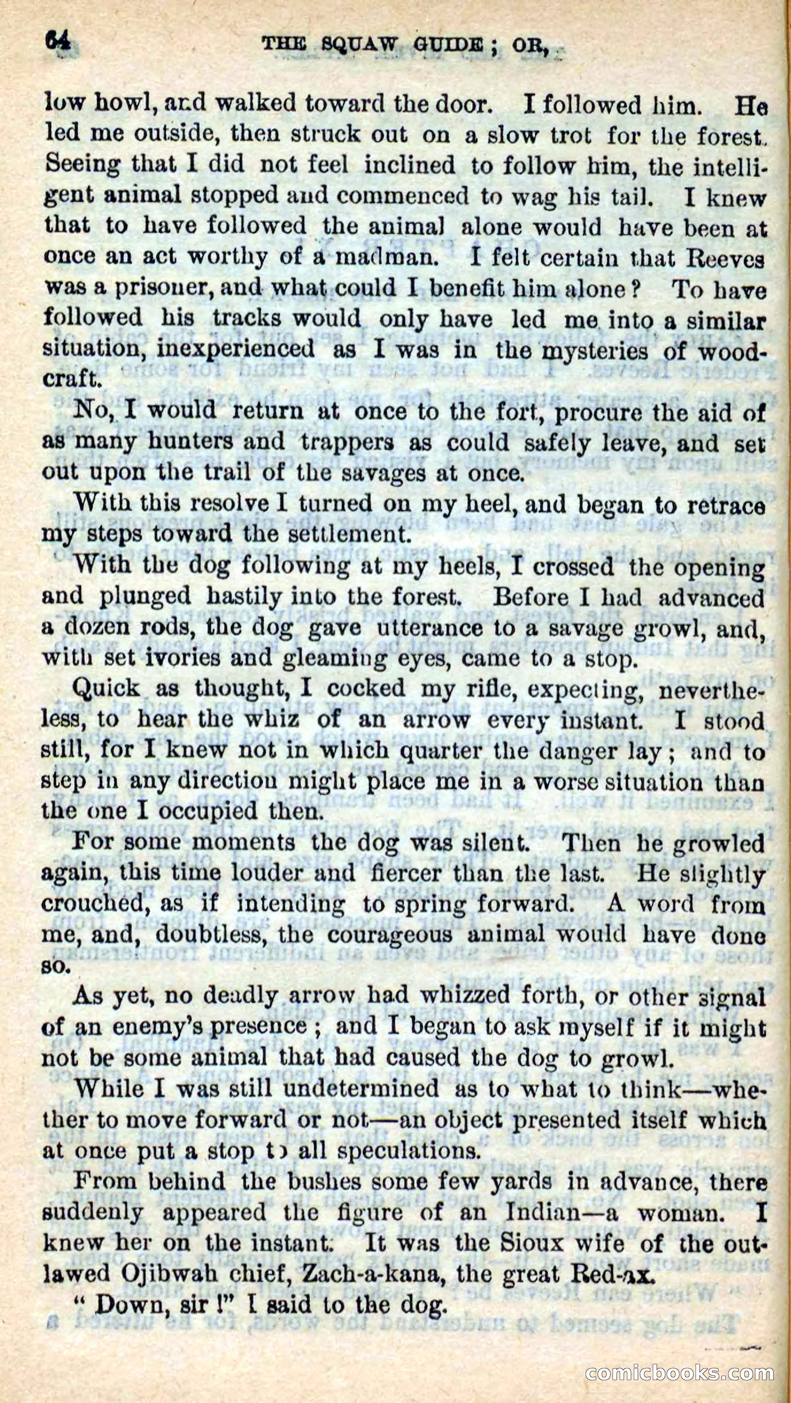 The Squaw Spy — page 61 of 101