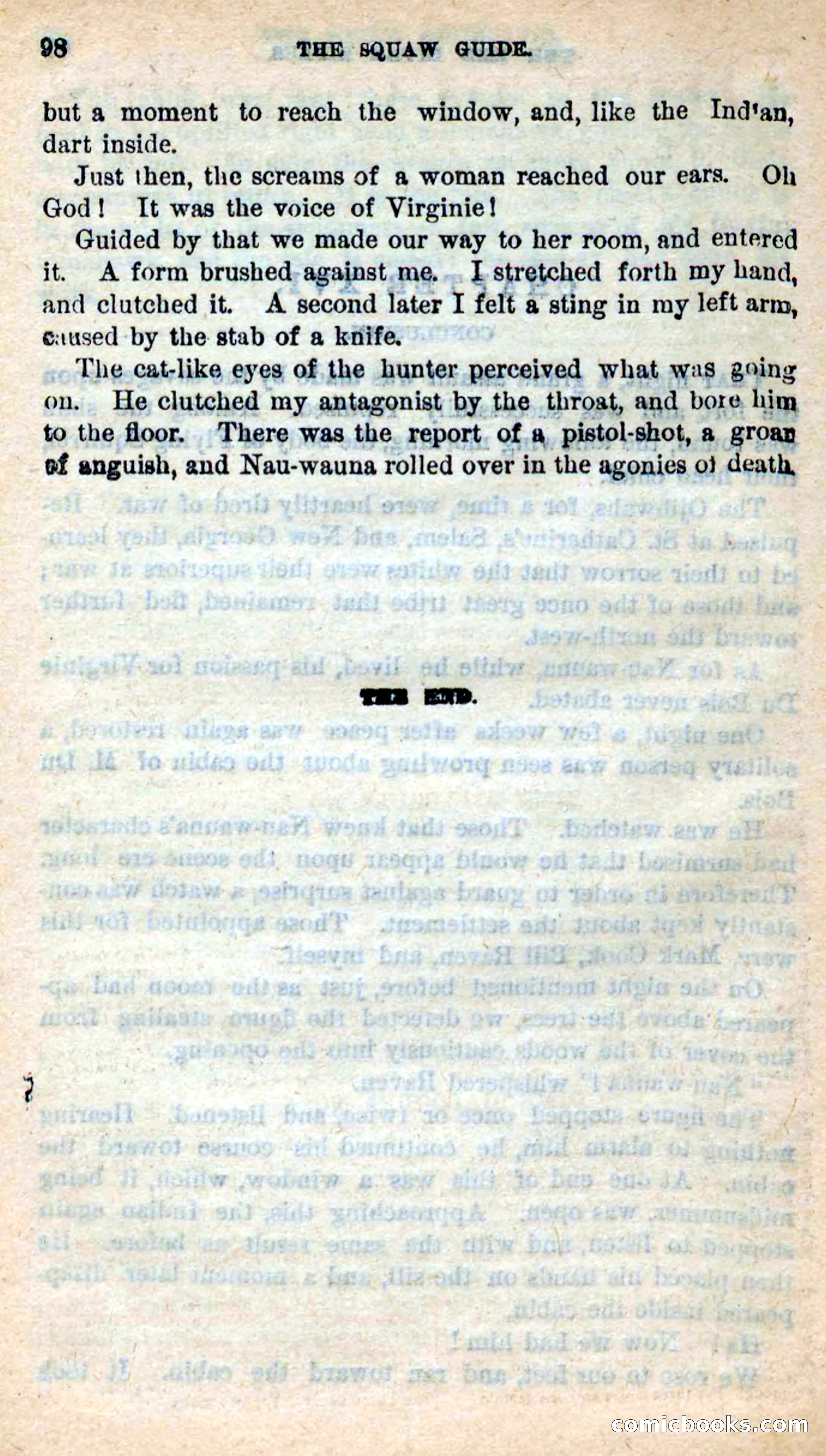 The Squaw Spy — page 95 of 101