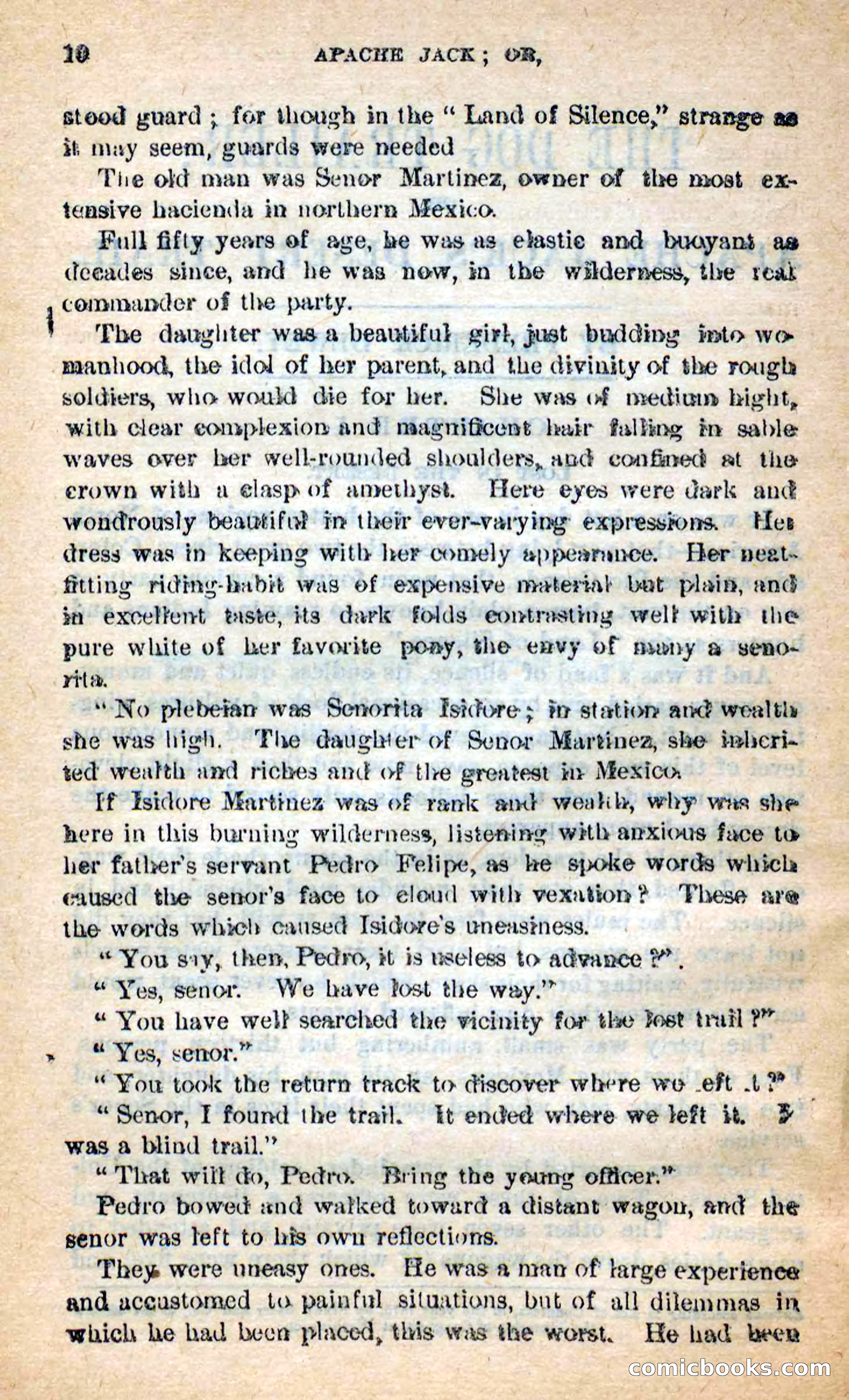 Beadle's New Dime Novels: The Dog Trailer — page 6 of 101