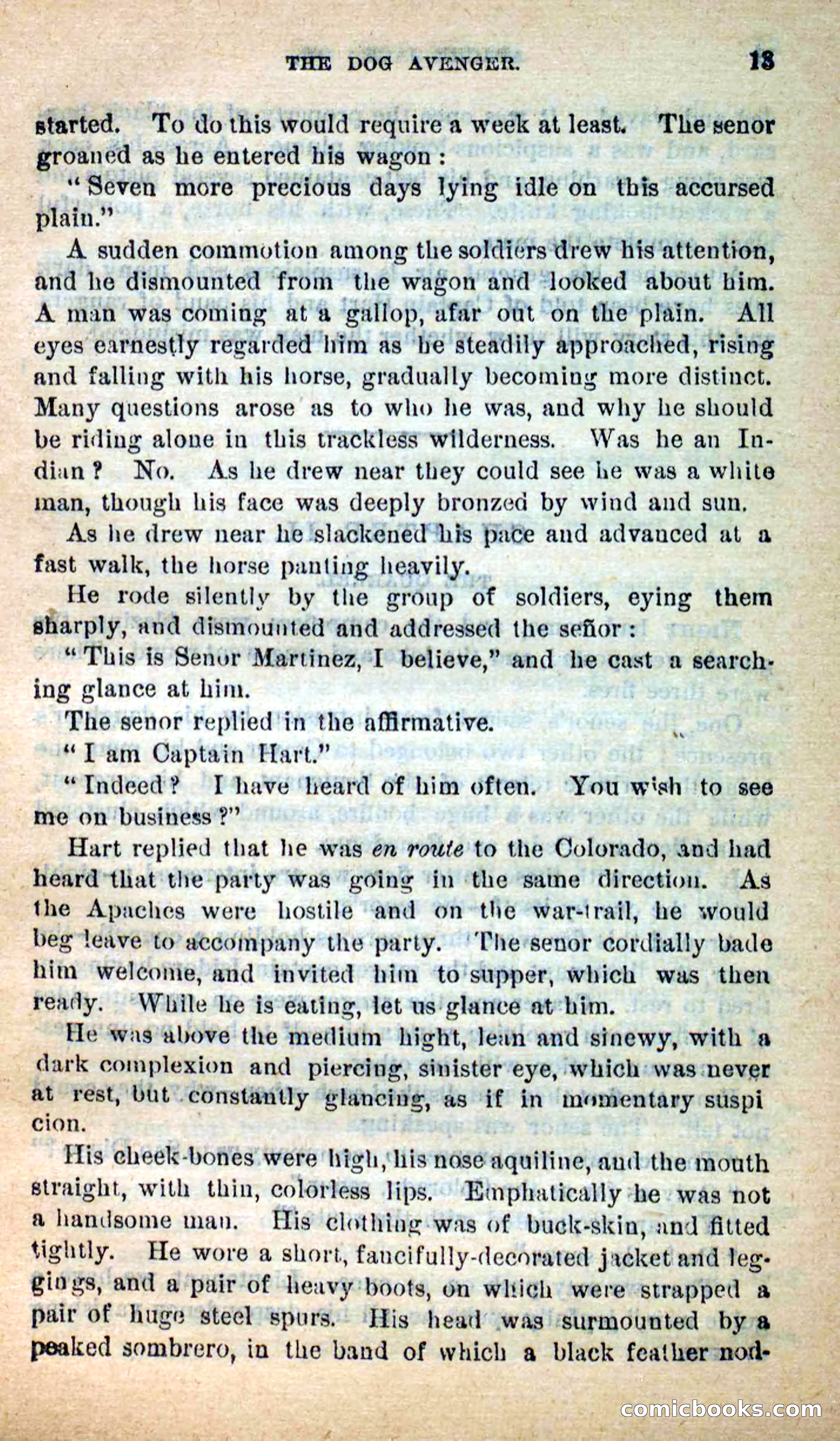 Beadle's New Dime Novels: The Dog Trailer — page 9 of 101