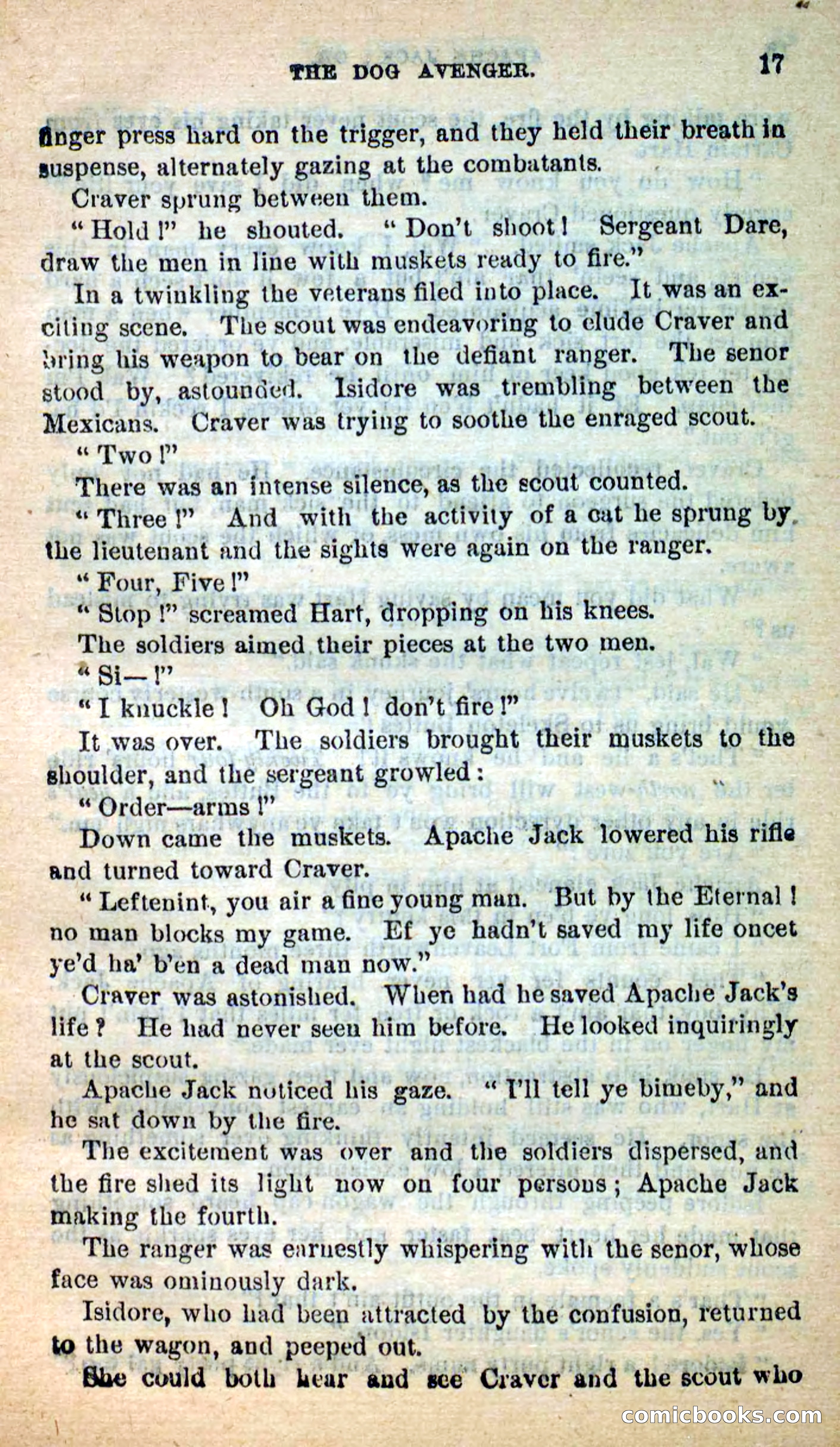 Beadle's New Dime Novels: The Dog Trailer — page 13 of 101