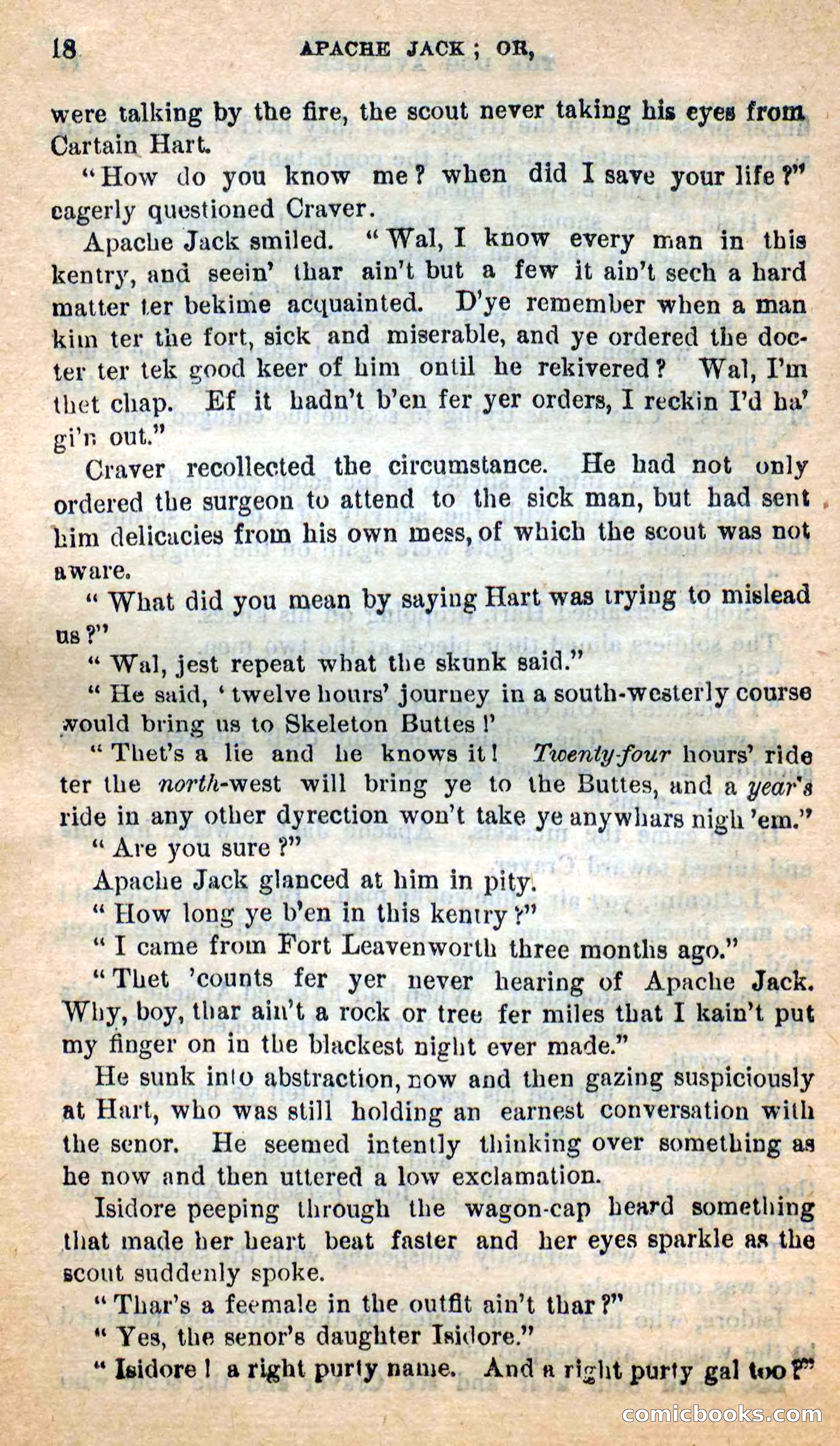 Beadle's New Dime Novels: The Dog Trailer — page 14 of 101