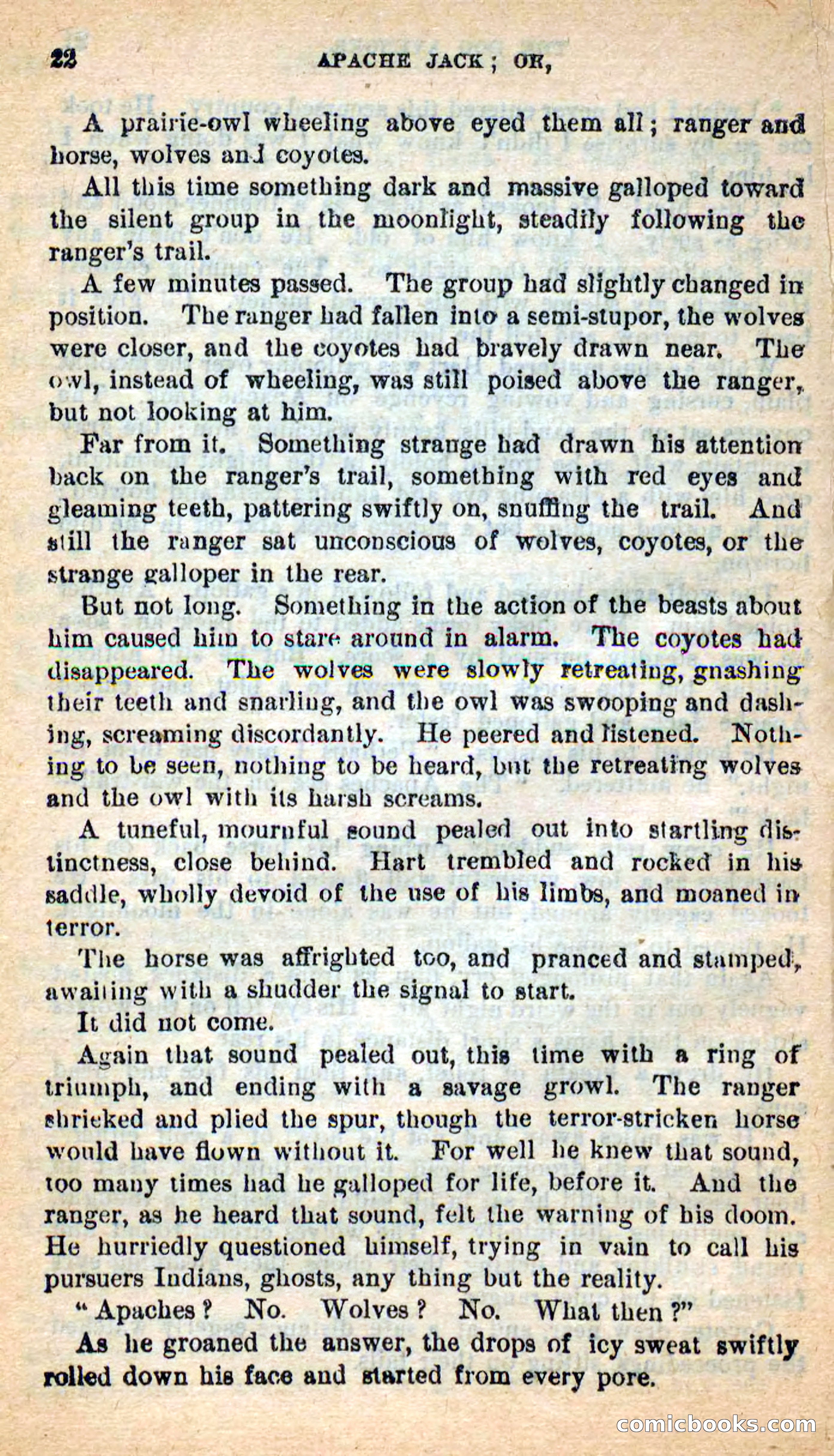 Beadle's New Dime Novels: The Dog Trailer — page 18 of 101