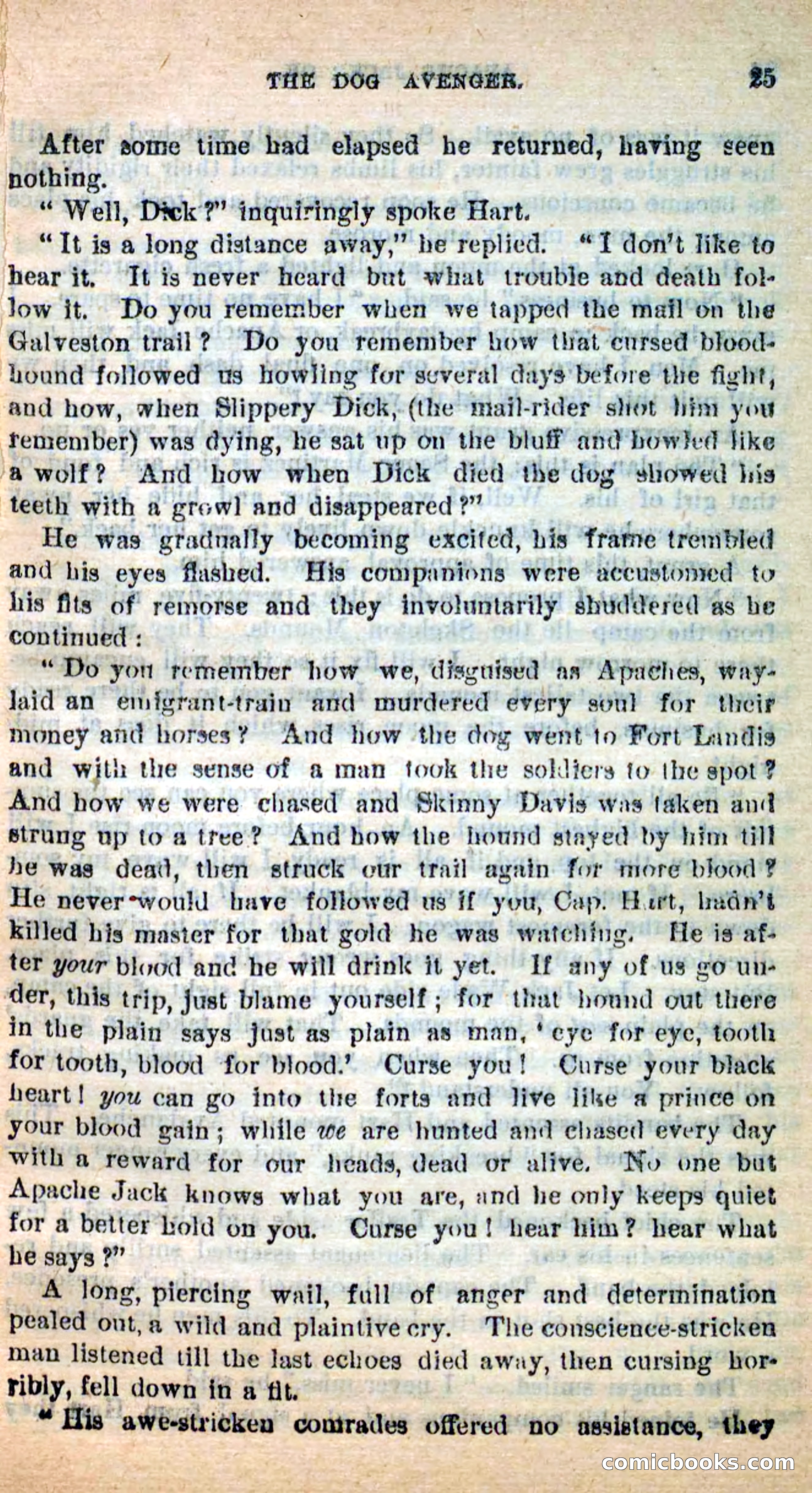 Beadle's New Dime Novels: The Dog Trailer — page 21 of 101
