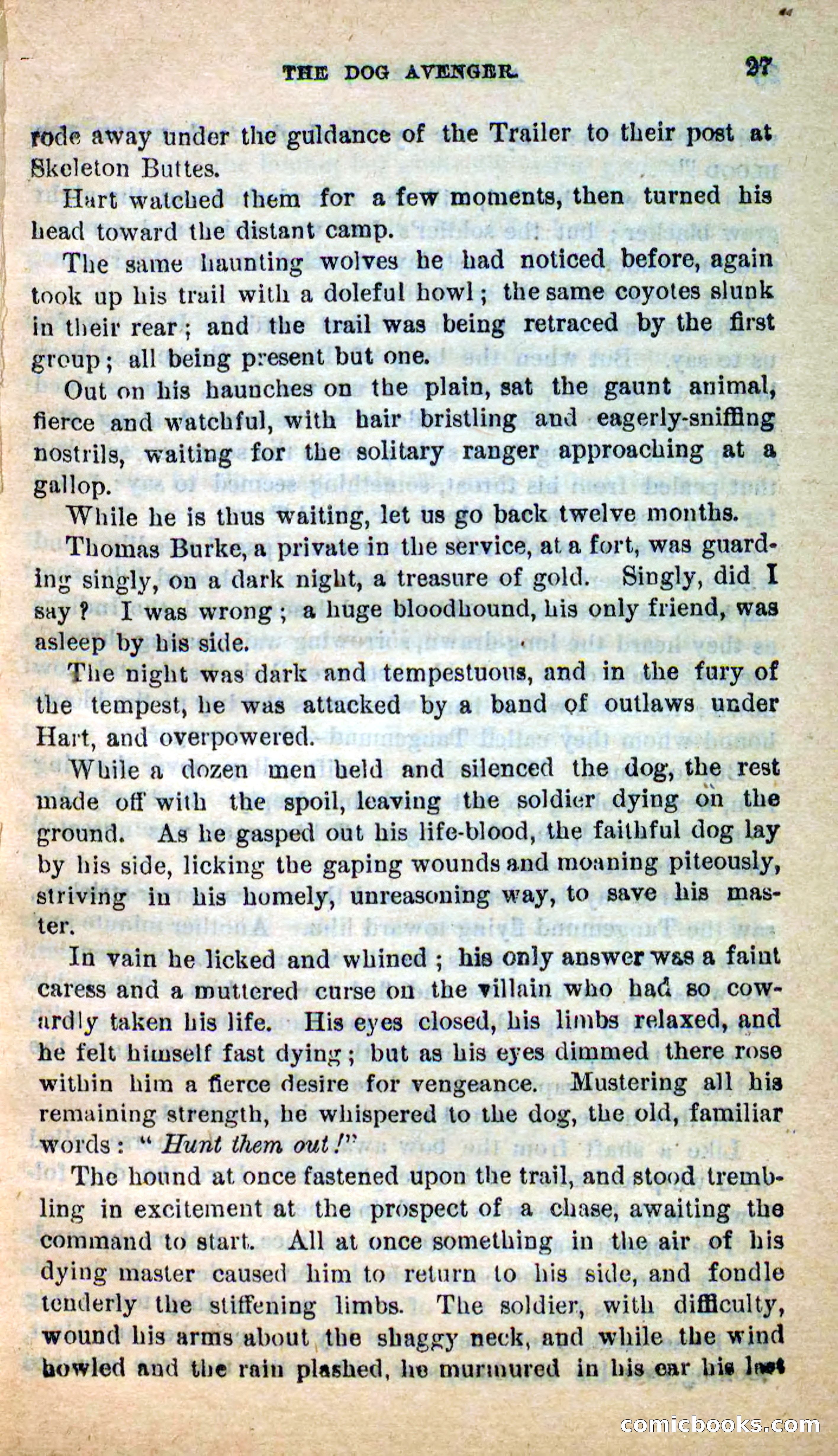 Beadle's New Dime Novels: The Dog Trailer — page 24 of 101
