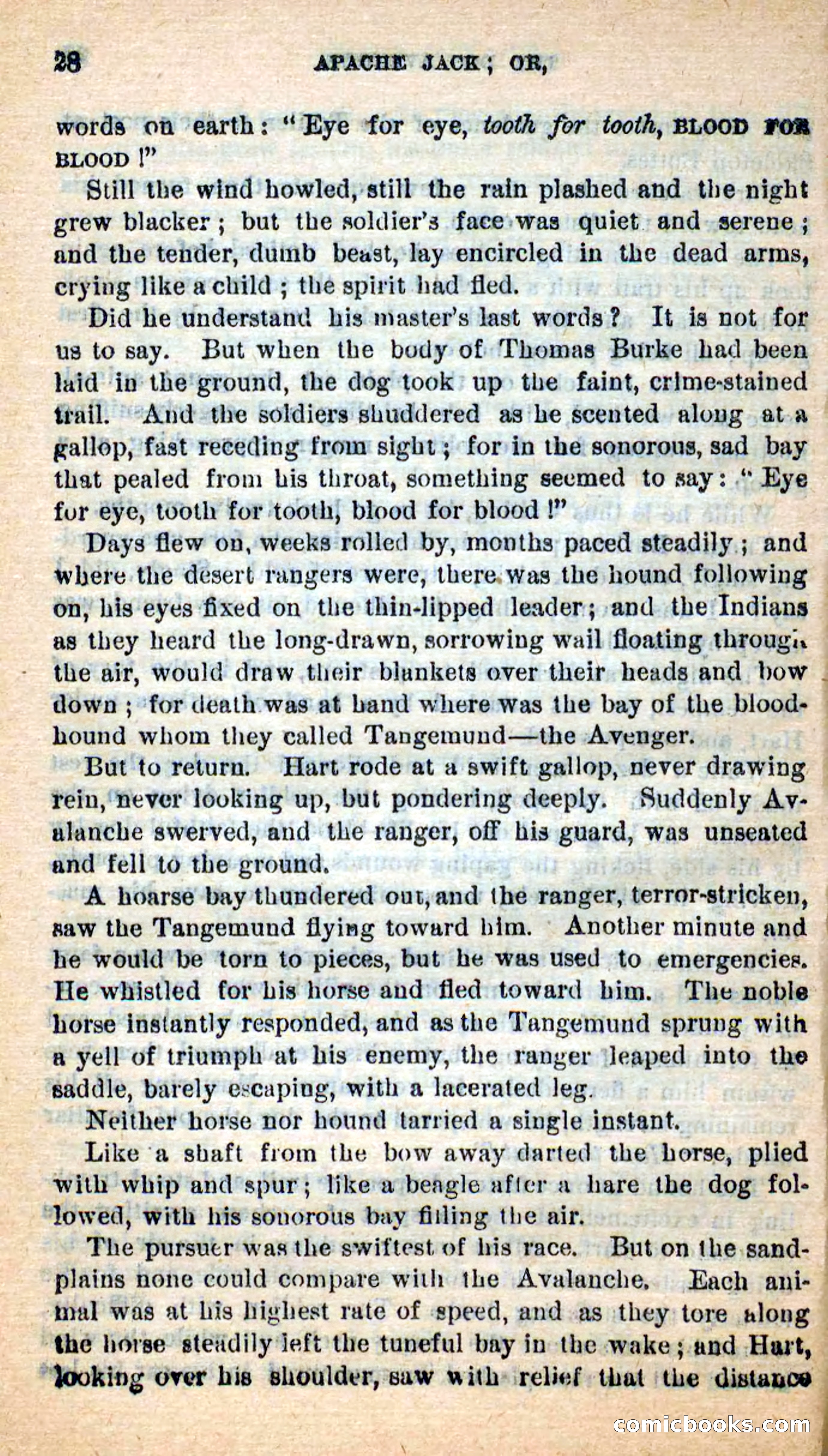 Beadle's New Dime Novels: The Dog Trailer — page 25 of 101