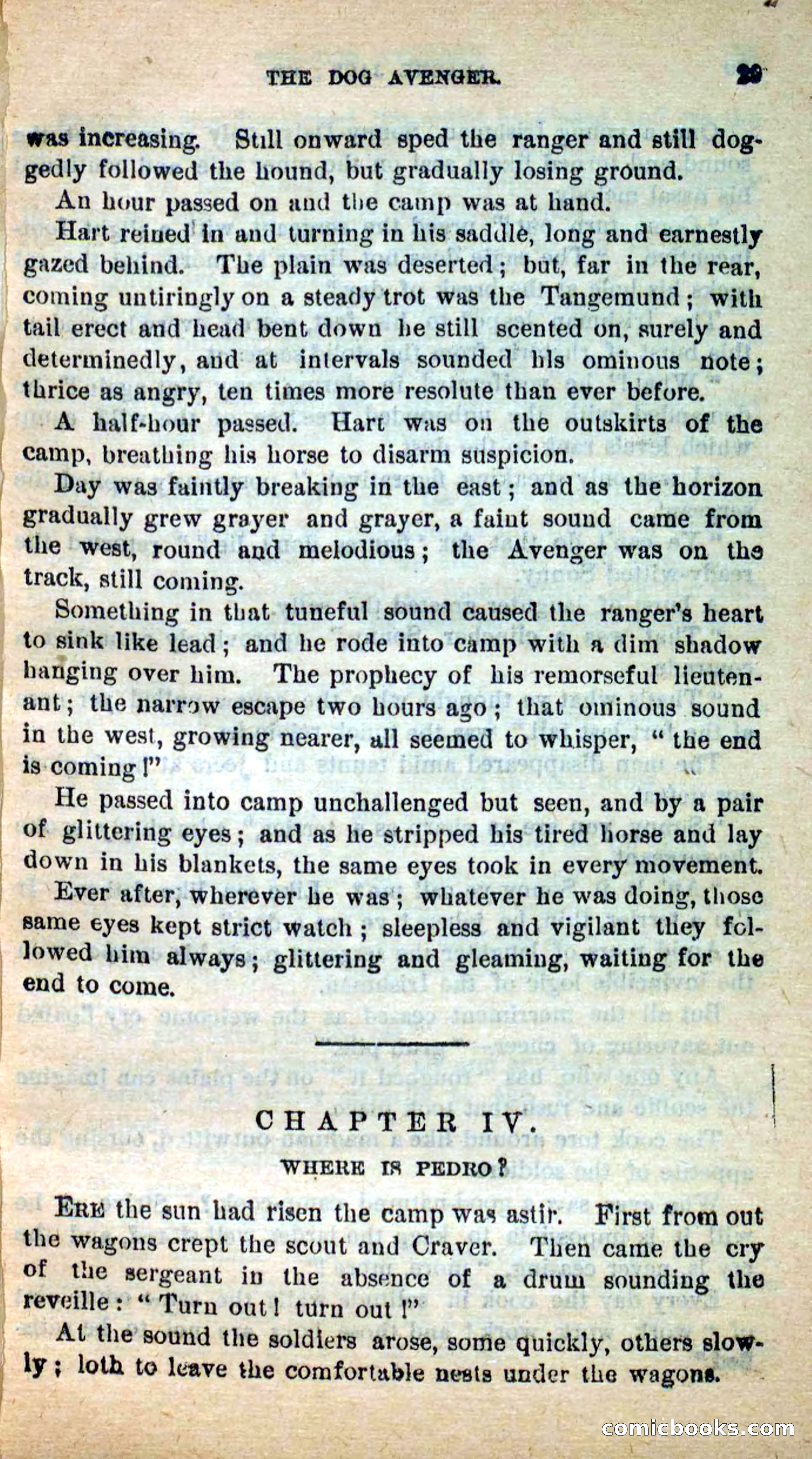 Beadle's New Dime Novels: The Dog Trailer — page 26 of 101