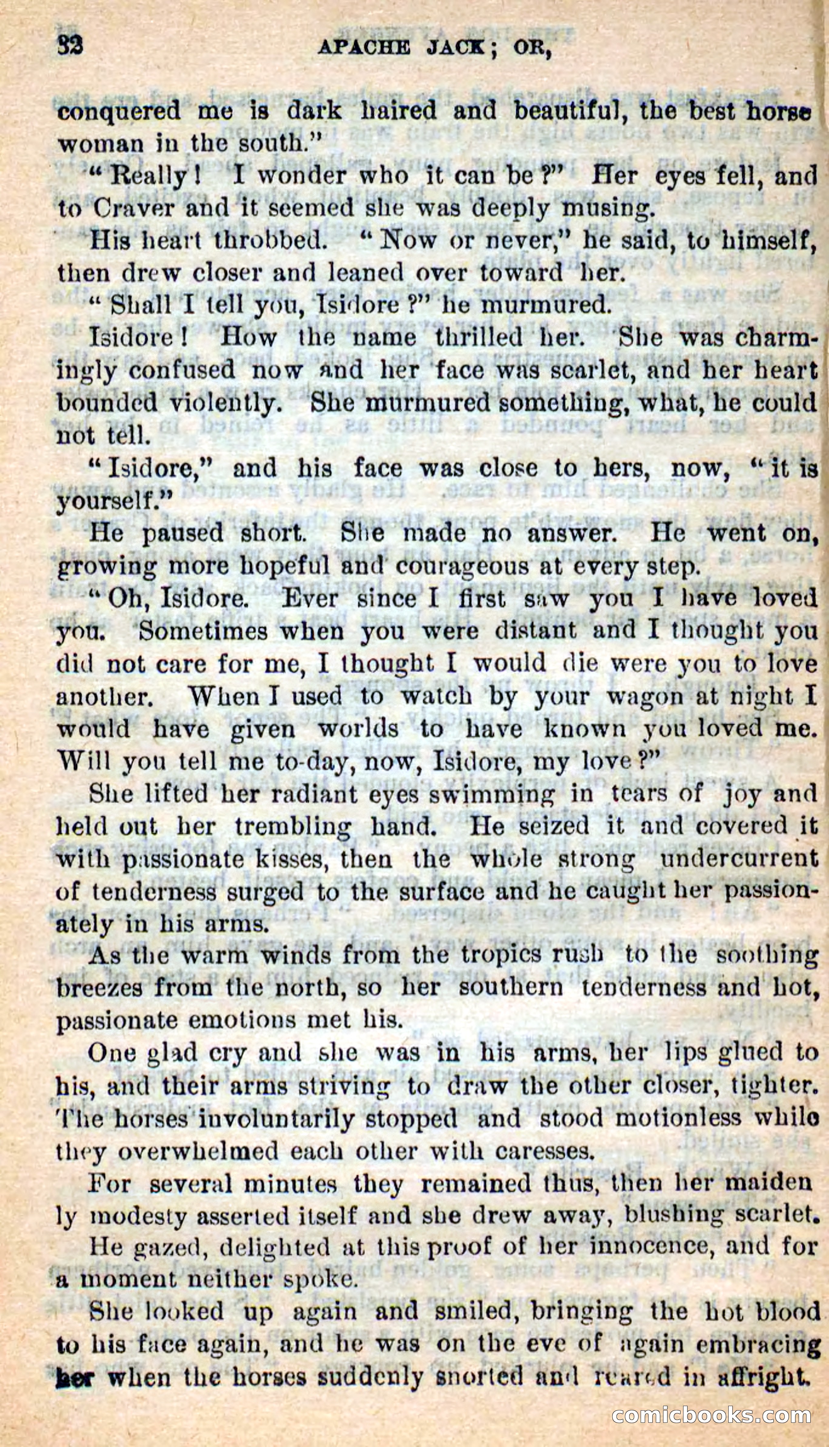 Beadle's New Dime Novels: The Dog Trailer — page 29 of 101