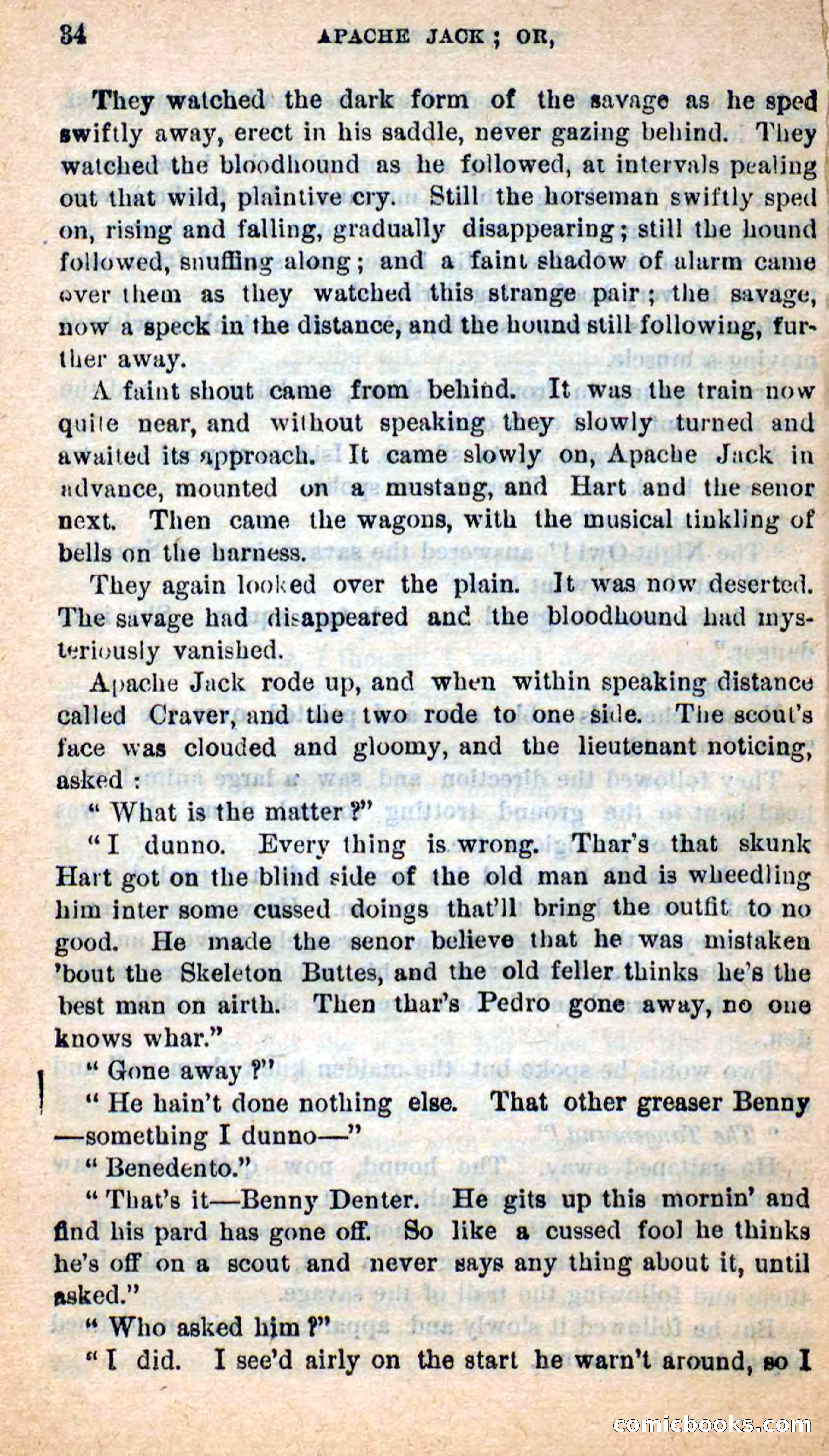 Beadle's New Dime Novels: The Dog Trailer — page 31 of 101