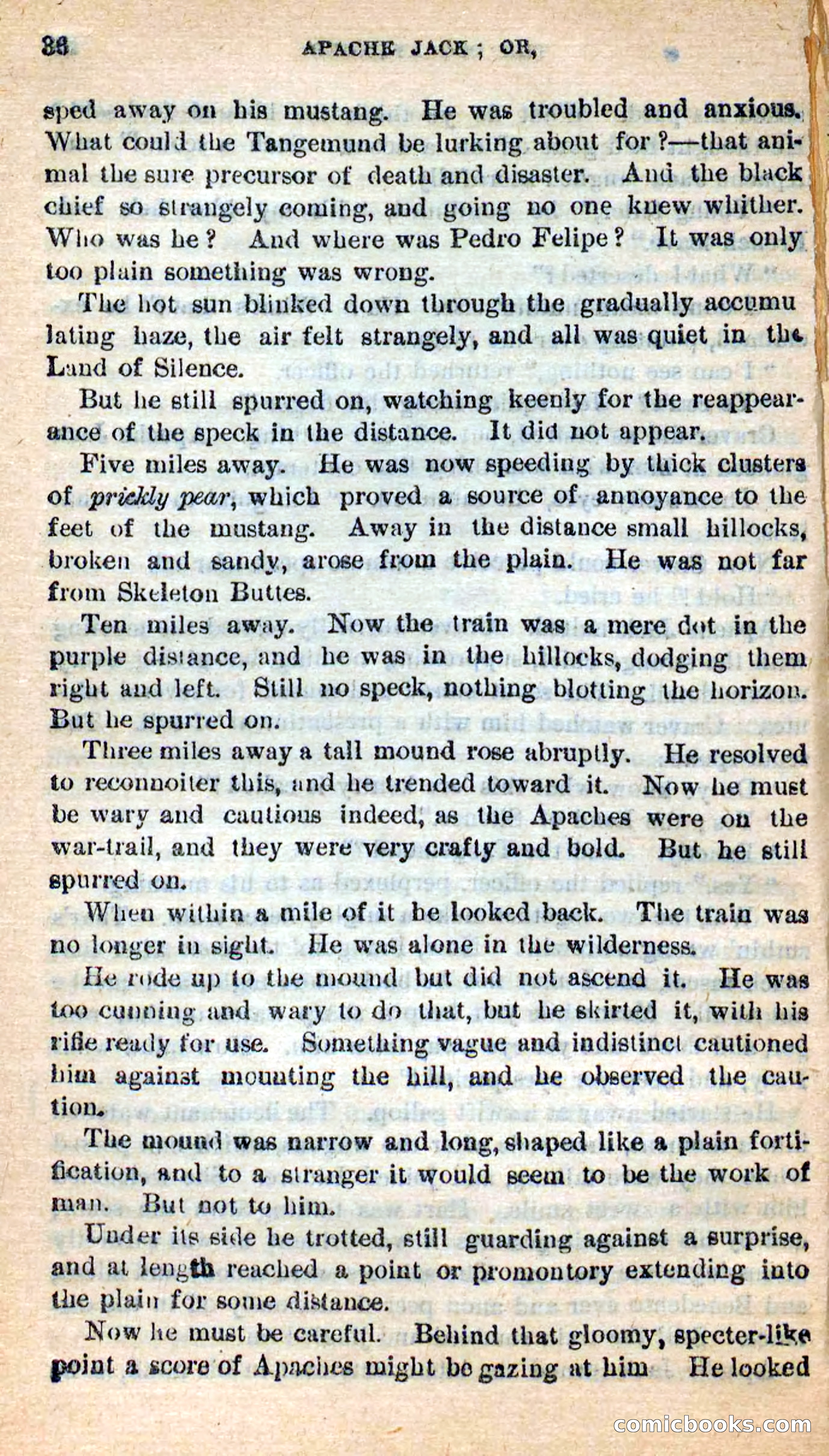 Beadle's New Dime Novels: The Dog Trailer — page 33 of 101