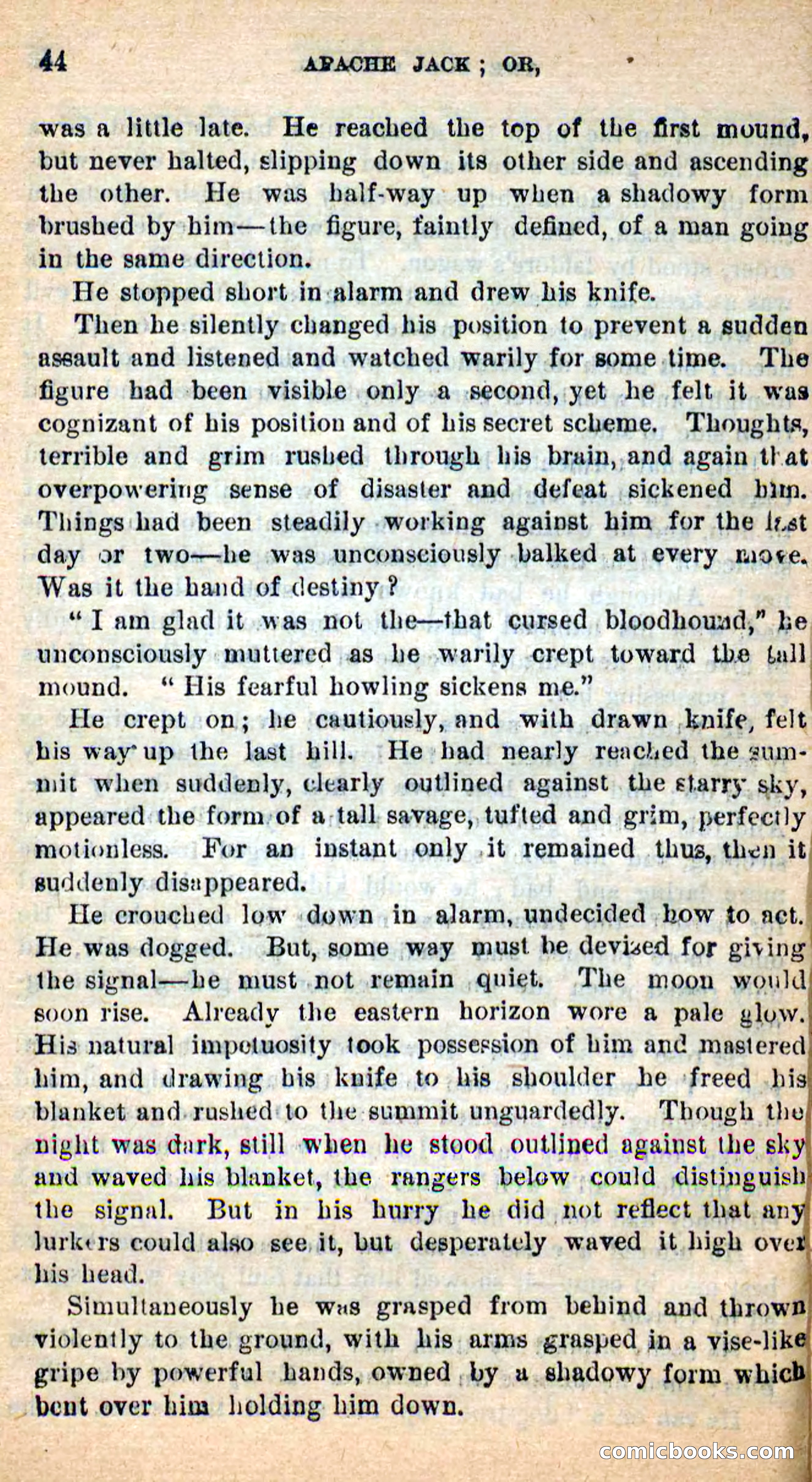 Beadle's New Dime Novels: The Dog Trailer — page 41 of 101