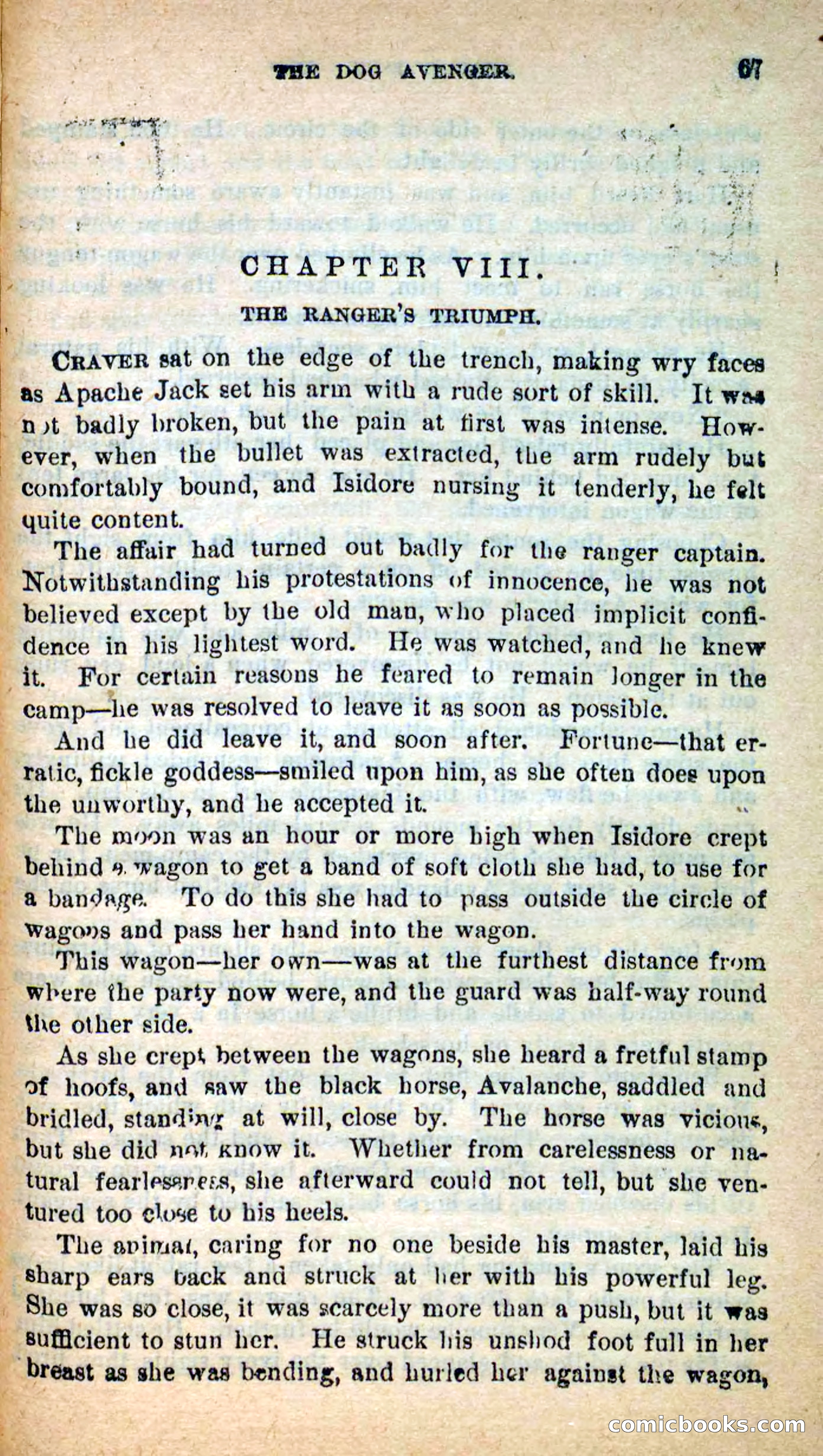 Beadle's New Dime Novels: The Dog Trailer — page 64 of 101